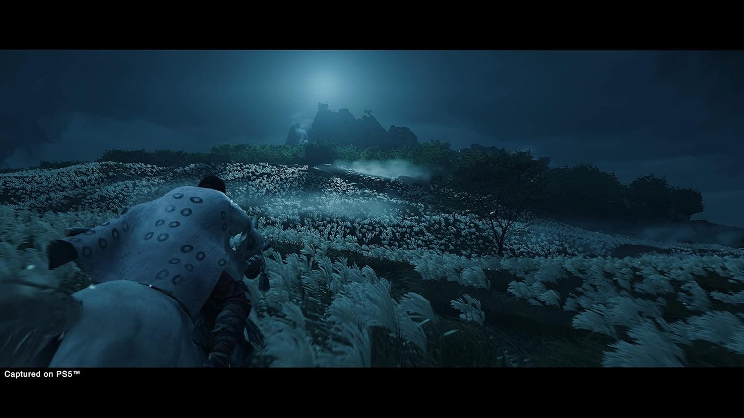 بازی ویدئویی PlayStation Ghost of Tsushima Director's Cut برای PS5 مشکی مدل 10GHOCU2 بازی ویدئویی PlayStation Ghost of Tsushima Director's Cut برای PS5 مشکی مدل 10GHOCU2