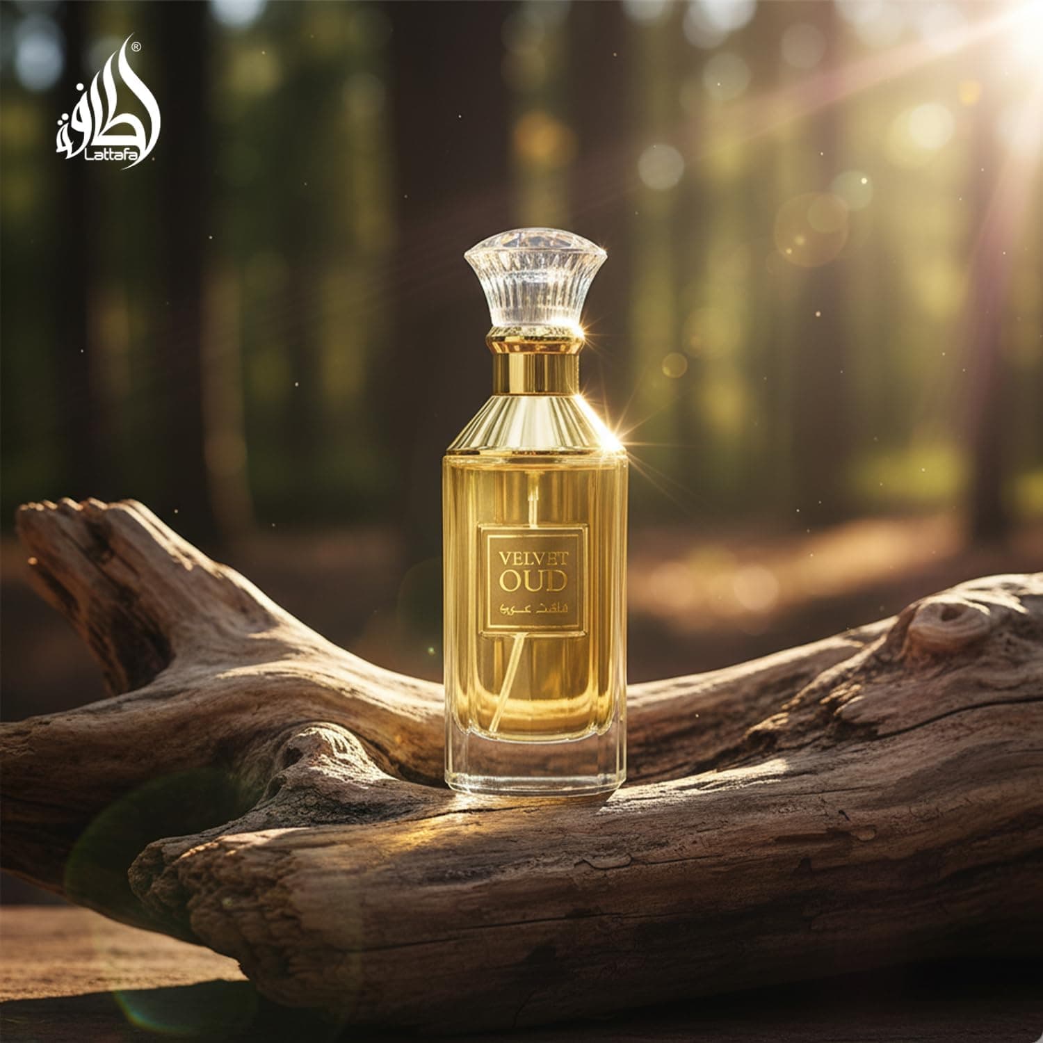 ادو پرفیوم یونیسکس Lattafa Velvet Oud با حجم 100 ml ادو پرفیوم یونیسکس Lattafa Velvet Oud با حجم 100 ml