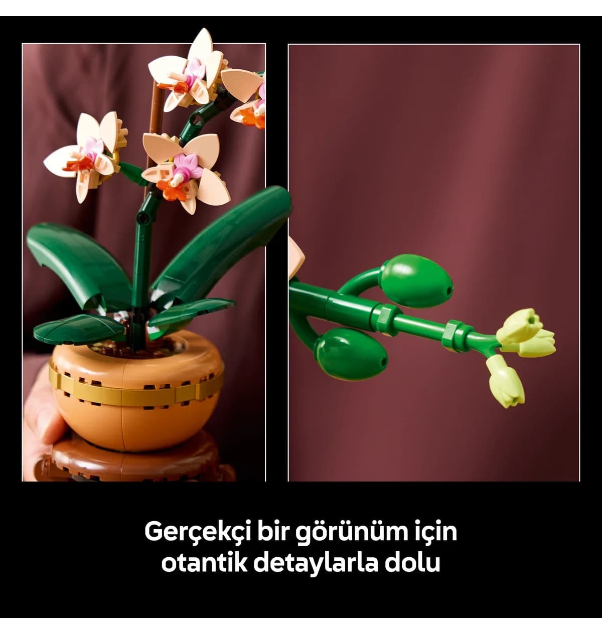 لگو 10343 Botanicals گل ارکیده مینیاتوری برای بزرگسالان با گلهای رنگ روشن (274 قطعه) لگو 10343 Botanicals گل ارکیده مینیاتوری برای بزرگسالان با گلهای رنگ روشن (274 قطعه)