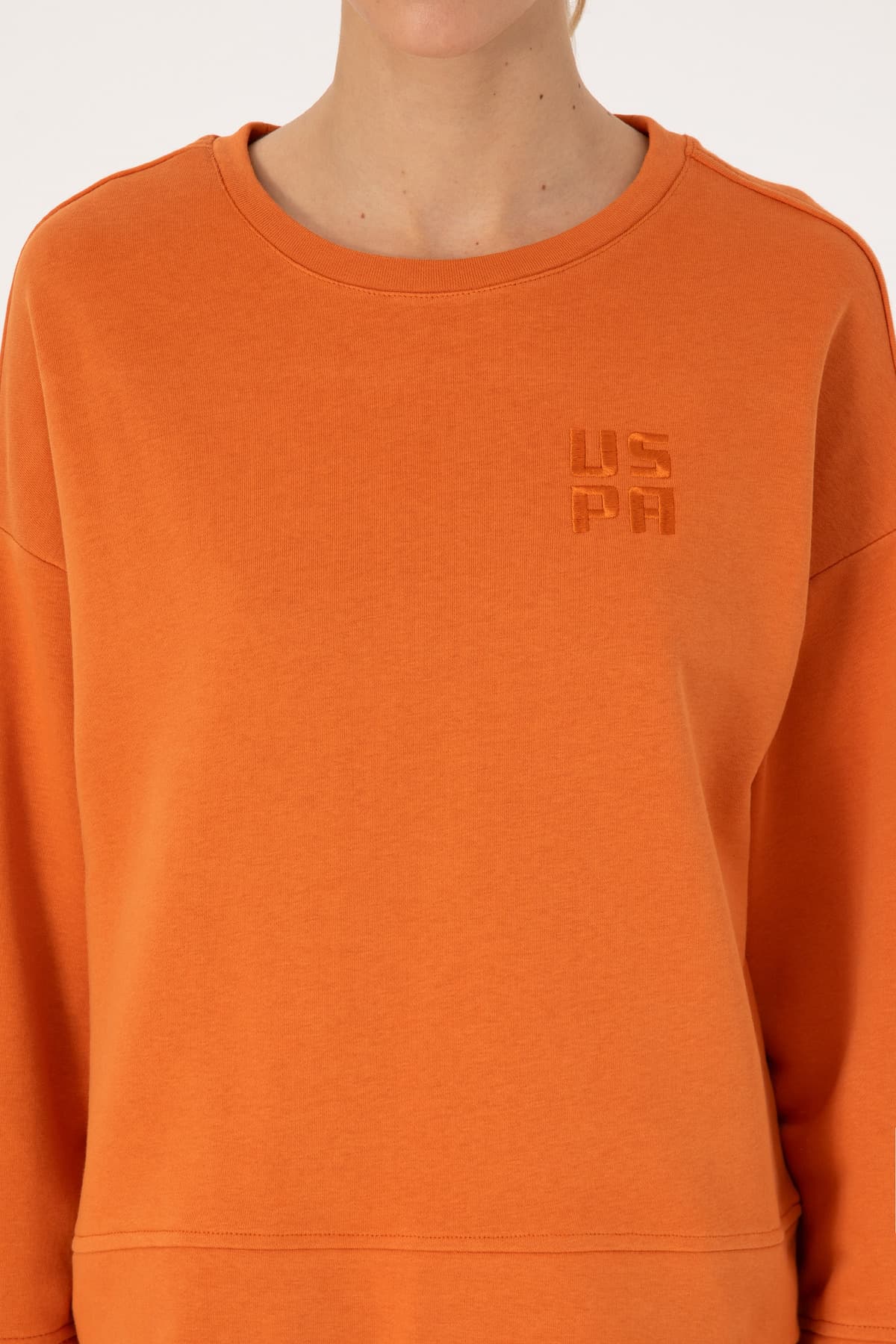 سوئیشرت زنانه U.S. Polo Assn. مسی یقه گرد ساده مدل 50313565-VR182 سوئیشرت زنانه U.S. Polo Assn. مسی یقه گرد ساده مدل 50313565-VR182