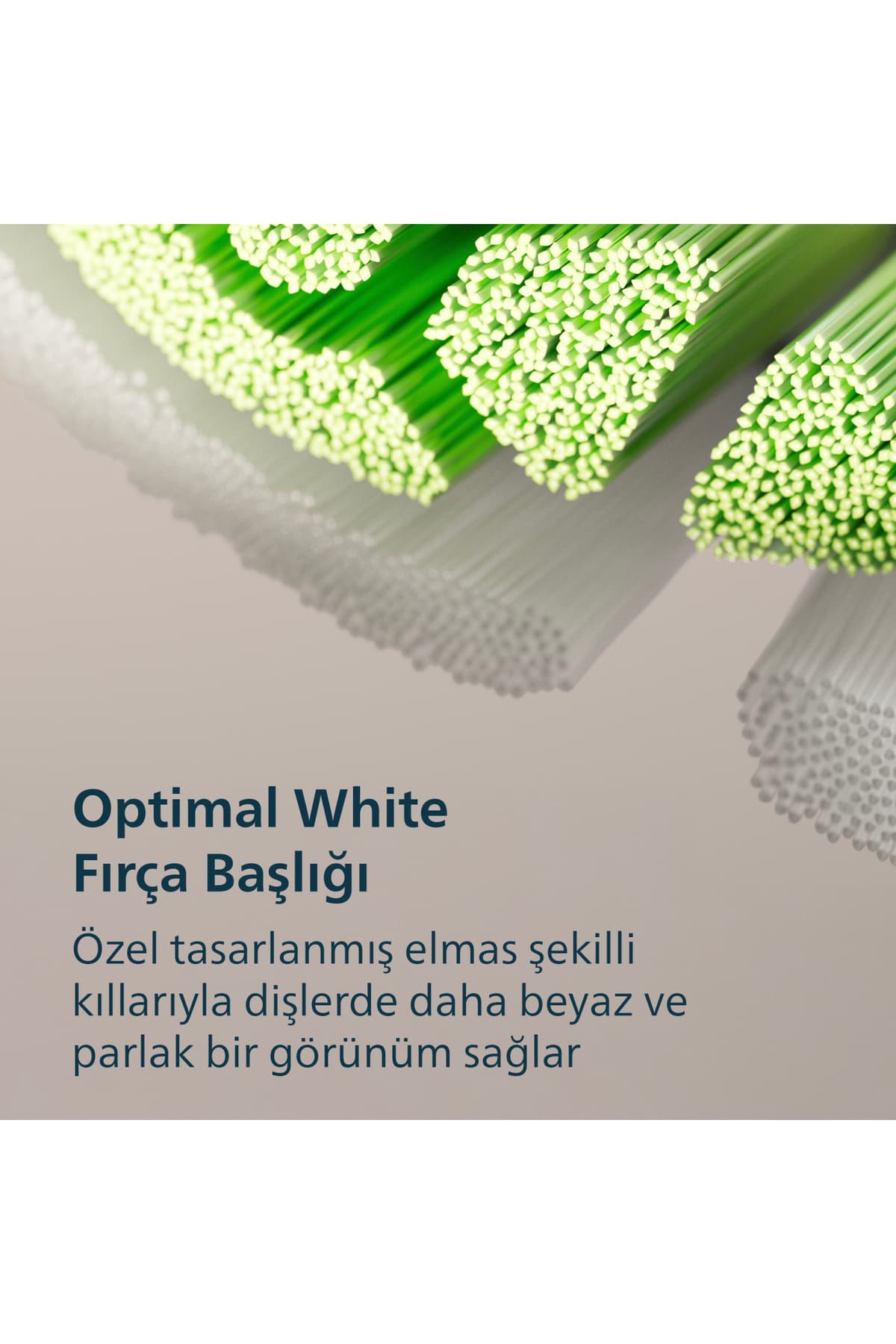 مسواک برقی دوتایی Philips Sonicare 3100 مشکی و صورتی پودری با 2 پایه شارژ مدل HX4072/42 مسواک برقی دوتایی Philips Sonicare 3100 مشکی و صورتی پودری با 2 پایه شارژ مدل HX4072/42