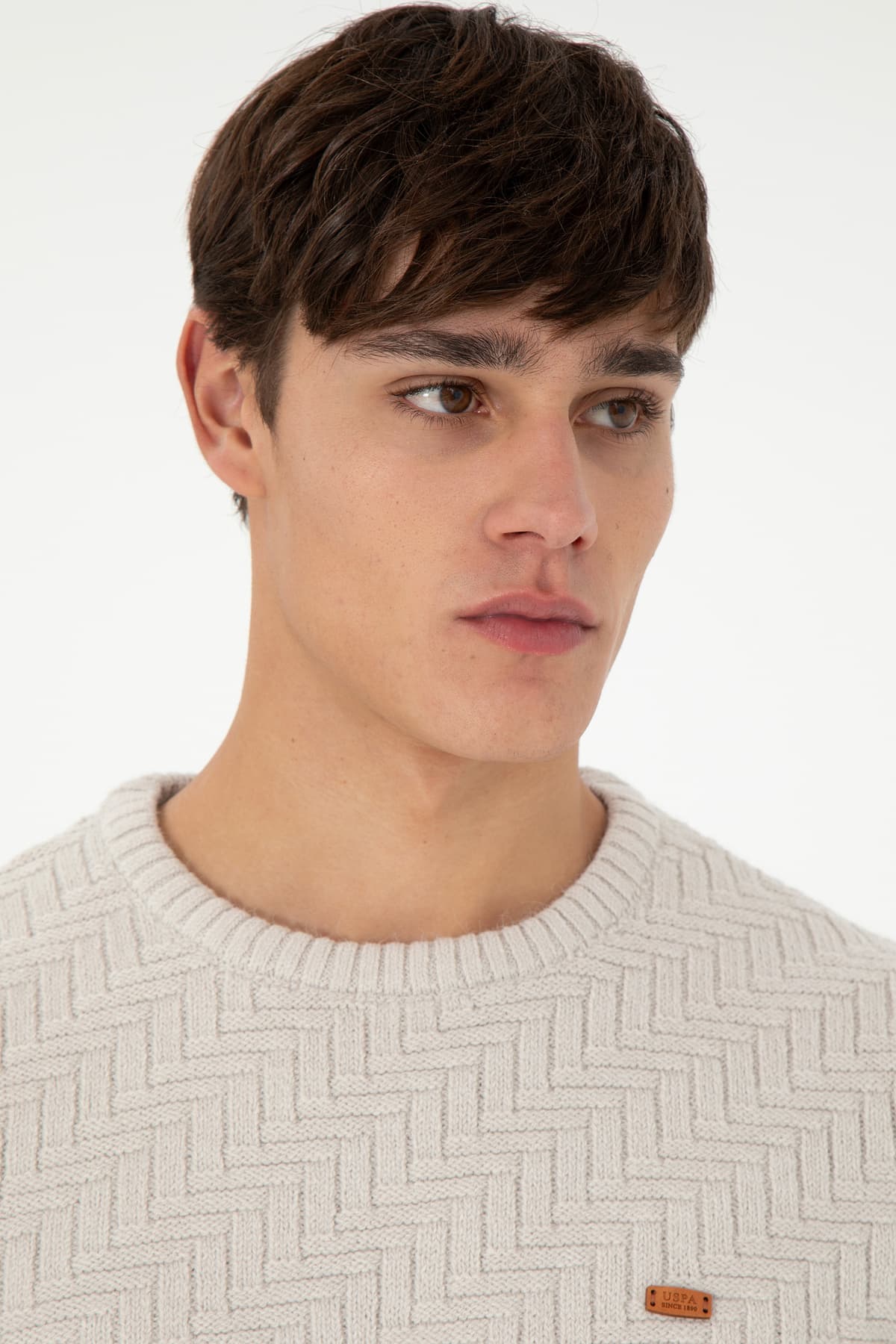 پلیور مردانه U.S. Polo Assn. فیت اسلیم یقه گرد رنگ سنگی مدل 50297050-VR049 پلیور مردانه U.S. Polo Assn. فیت اسلیم یقه گرد رنگ سنگی مدل 50297050-VR049