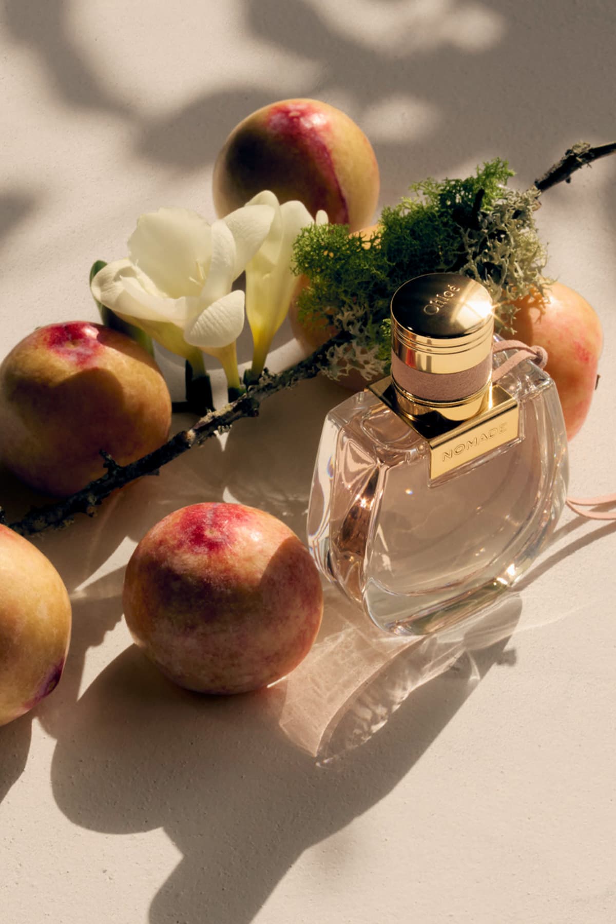 عطر ادوپرفیوم زنانه CHLOE Nomade 30 ML عطر ادوپرفیوم زنانه CHLOE Nomade 30 ML