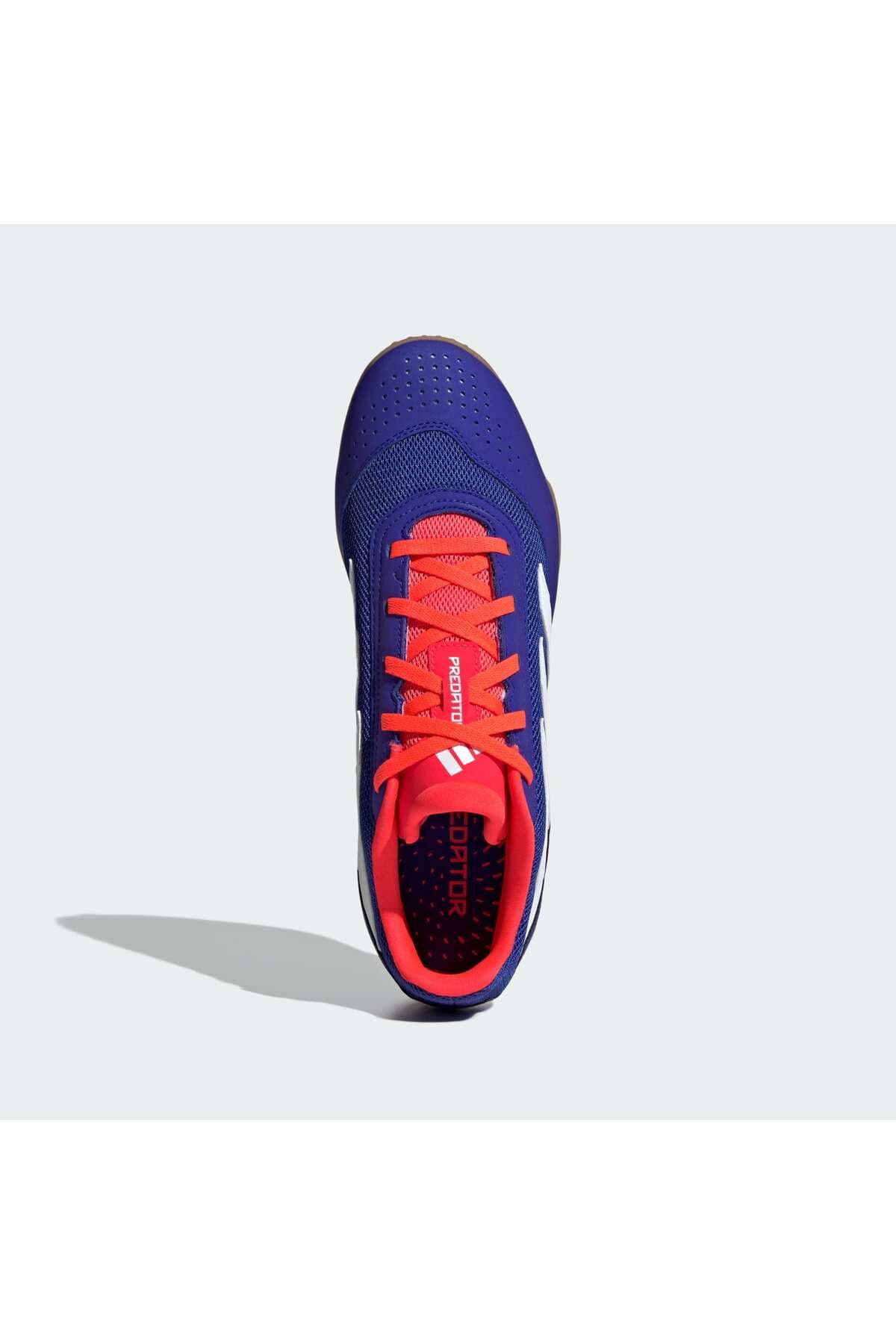 کفش فوتسال adidas Predator Club کفش فوتسال adidas Predator Club