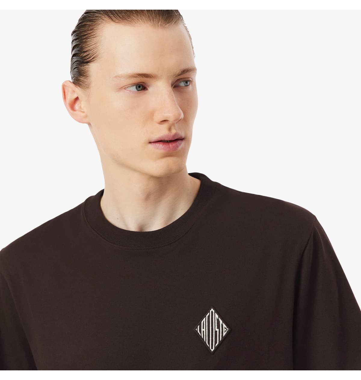 تیشرت مردانه Lacoste یقه گرد فیت کلاسیک قهوهای تیره تیشرت مردانه Lacoste یقه گرد فیت کلاسیک قهوهای تیره