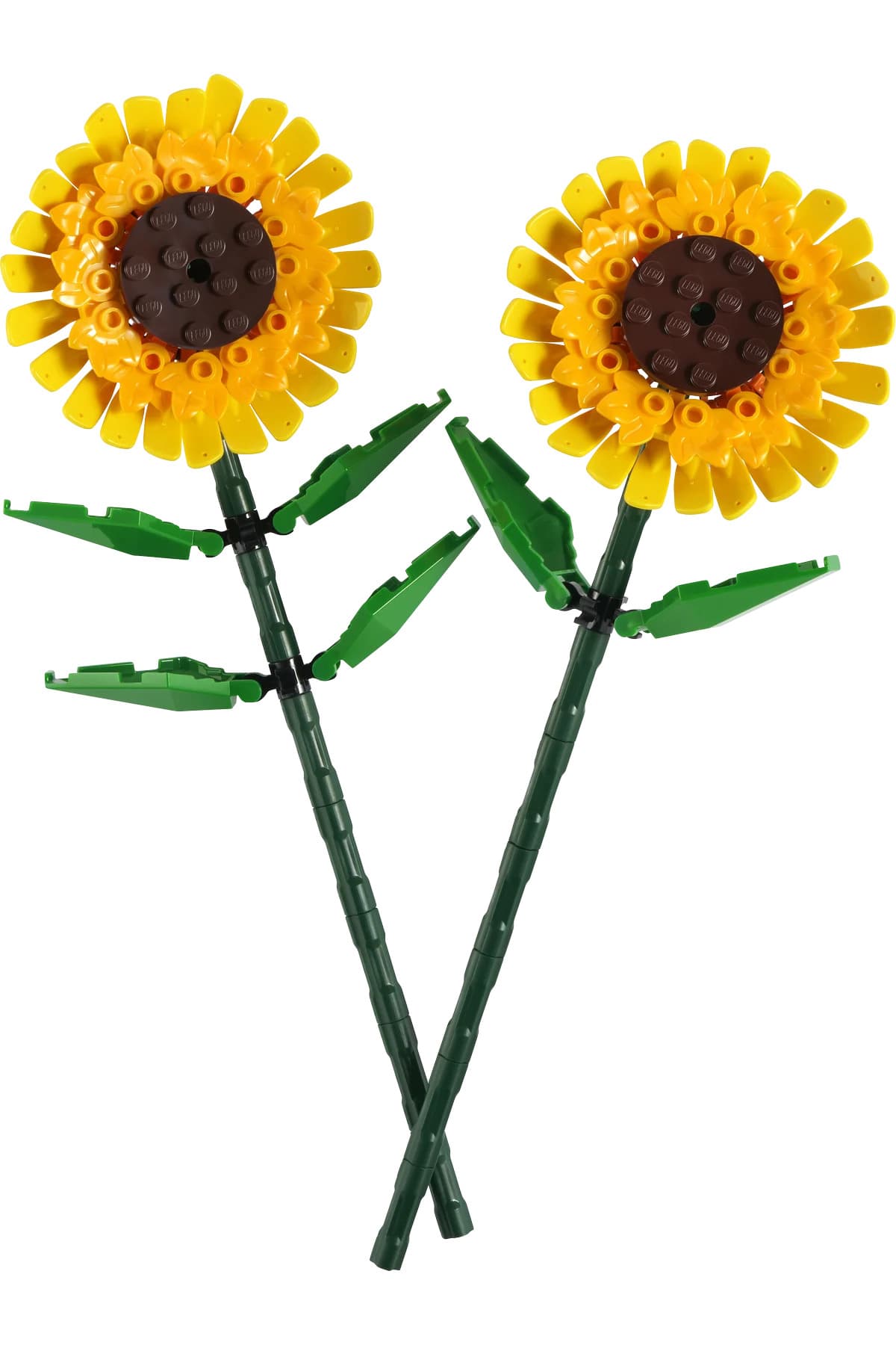 ست ساخت مدل گل آفتابگردان برای 8+ سال لگو Botanicals مدل 40524، 191P ست ساخت مدل گل آفتابگردان برای 8+ سال لگو Botanicals مدل 40524، 191P