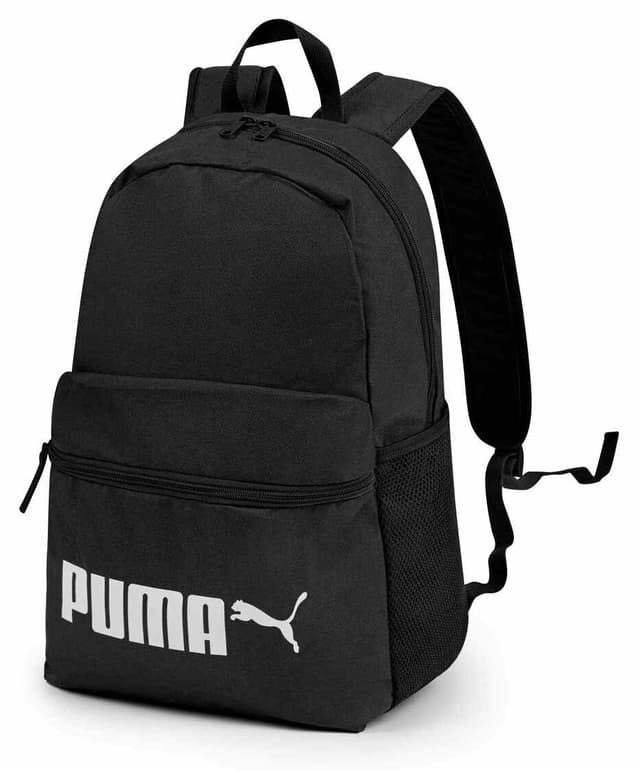 کولهپشتی Puma Phase II کولهپشتی Puma Phase II