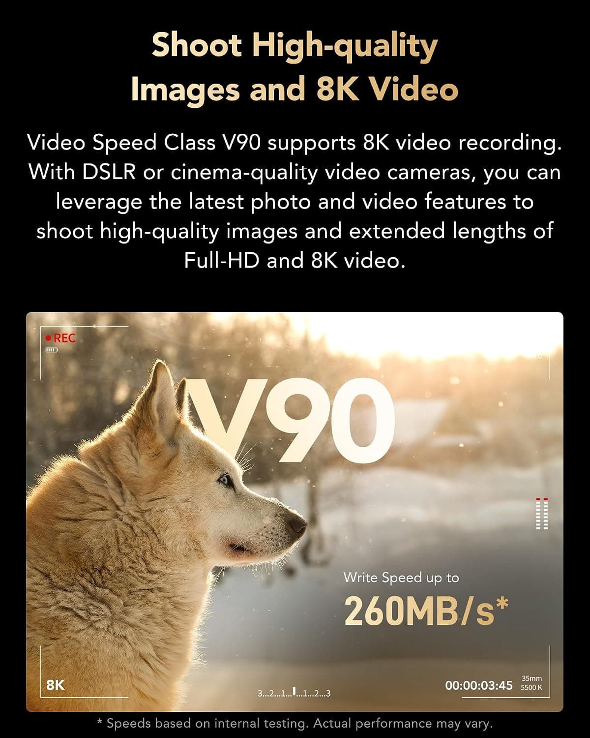 کارت حافظه SDXC دوربین Lexar Professional 2000x ظرفیت 256GB UHS-II U3 V90 مدل LSD2000256G-BNNNU کارت حافظه SDXC دوربین Lexar Professional 2000x ظرفیت 256GB UHS-II U3 V90 مدل LSD2000256G-BNNNU