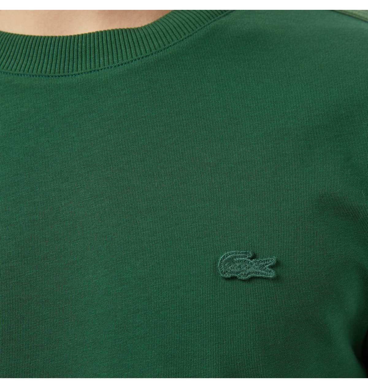 تیشرت مردانه Lacoste فیت معمولی یقه گرد سبز تیره تیشرت مردانه Lacoste فیت معمولی یقه گرد سبز تیره