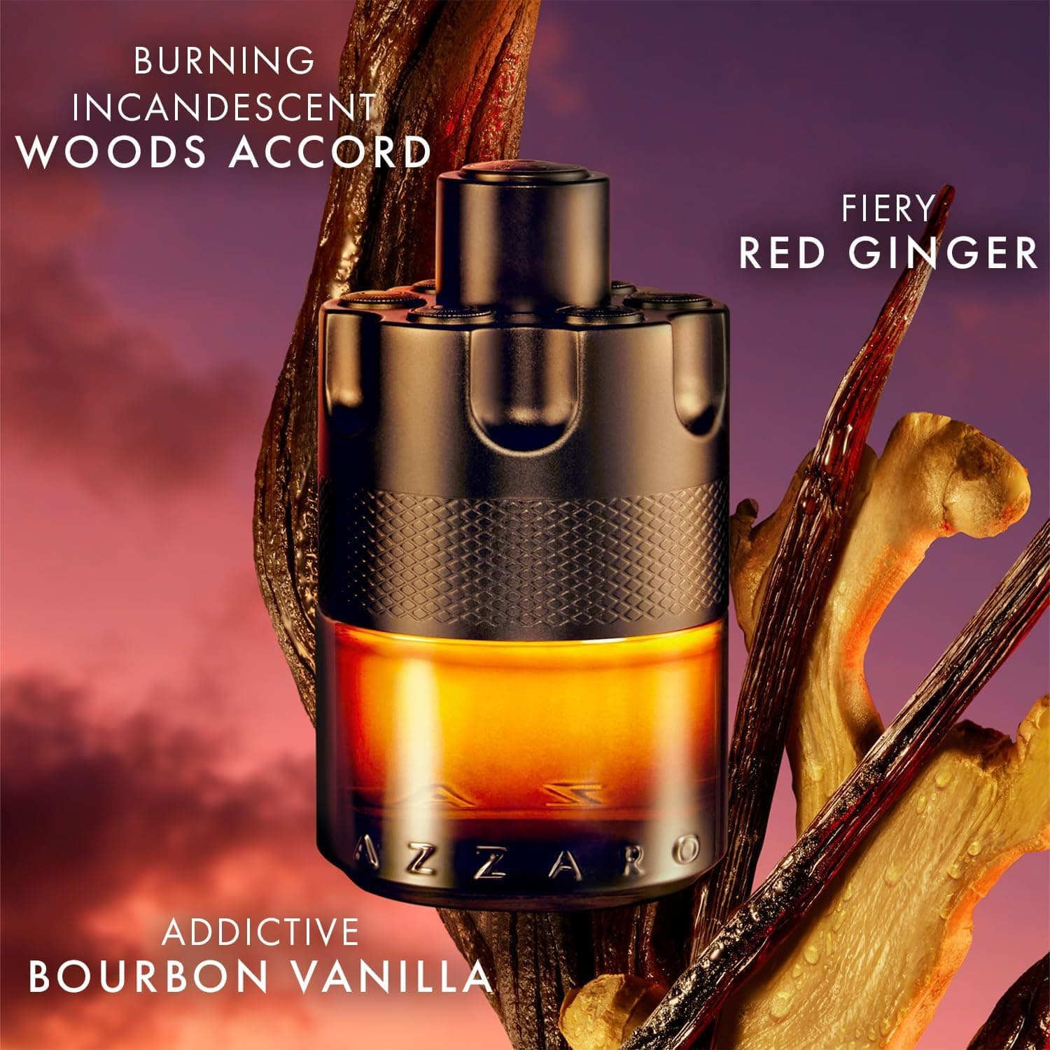 عطر مردانه Azzaro The Most Wanted مشکی 3.38 Fl Oz، 100 ml عطر مردانه Azzaro The Most Wanted مشکی 3.38 Fl Oz، 100 ml