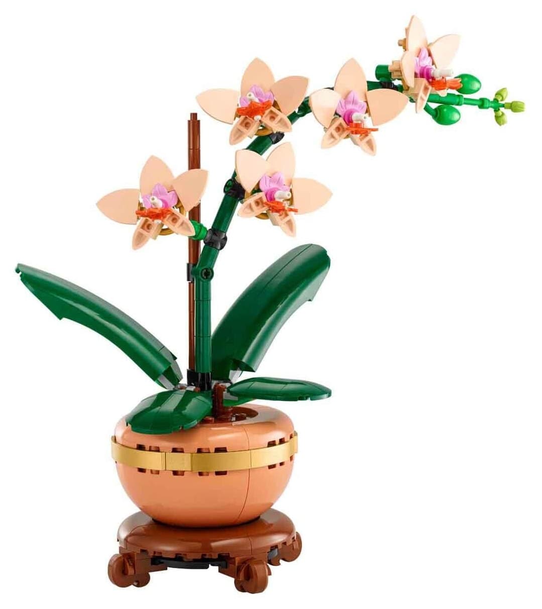 لگو 10343 Botanicals گل ارکیده مینیاتوری برای بزرگسالان با گلهای رنگ روشن (274 قطعه) لگو 10343 Botanicals گل ارکیده مینیاتوری برای بزرگسالان با گلهای رنگ روشن (274 قطعه)