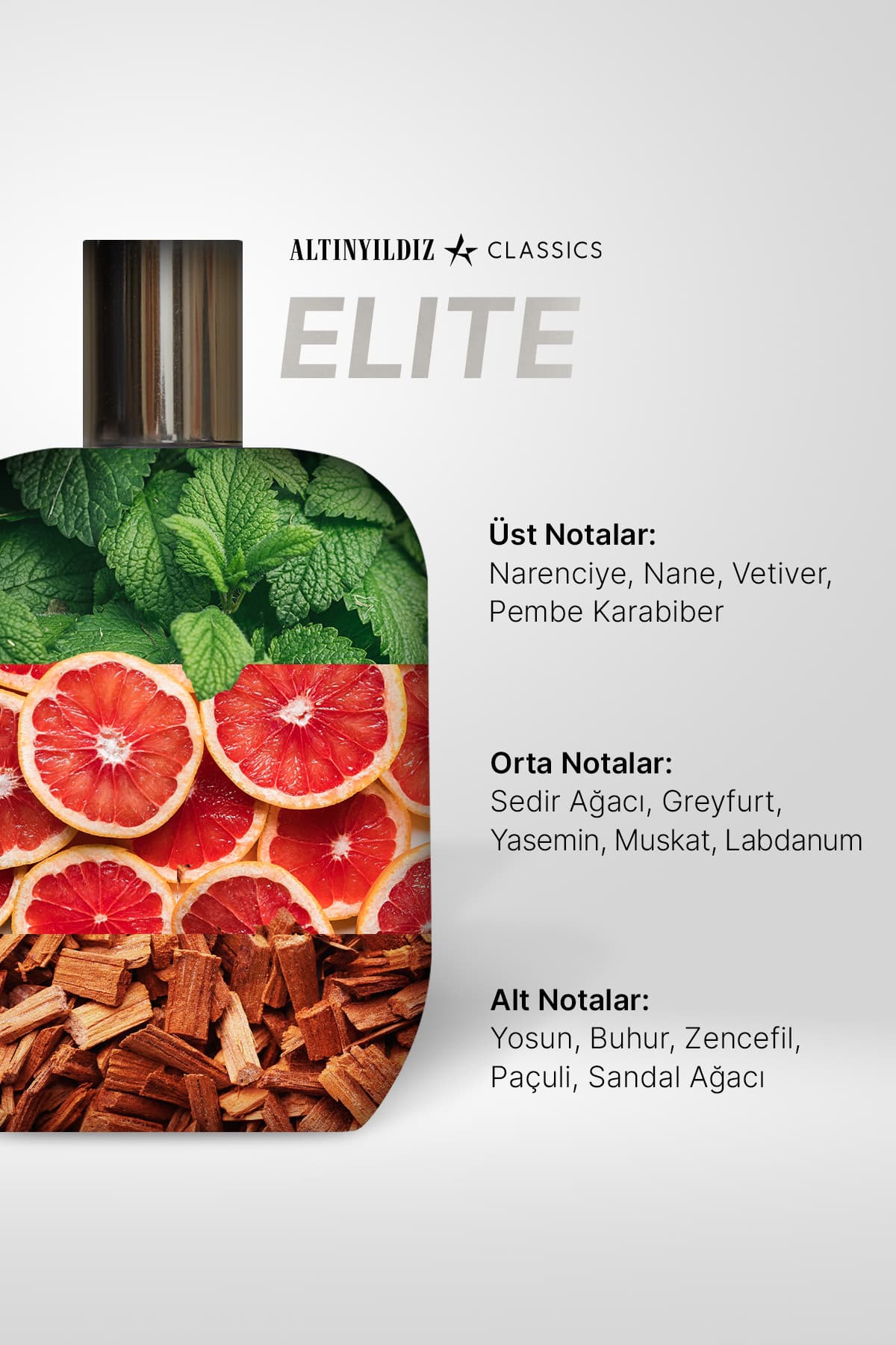 عطر مردانه Altınyıldız Classics EDP AC Elite 100 ML عطر مردانه Altınyıldız Classics EDP AC Elite 100 ML