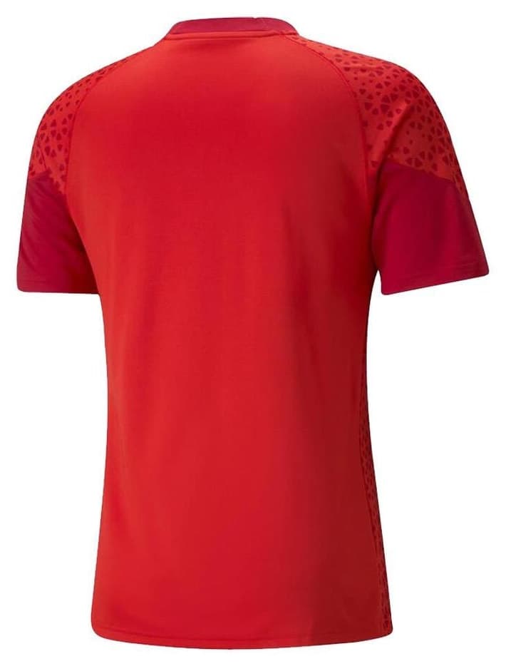 پیراهن تمرین مردانه Puma Teamcup قرمز مدل 657984 پیراهن تمرین مردانه Puma Teamcup قرمز مدل 657984
