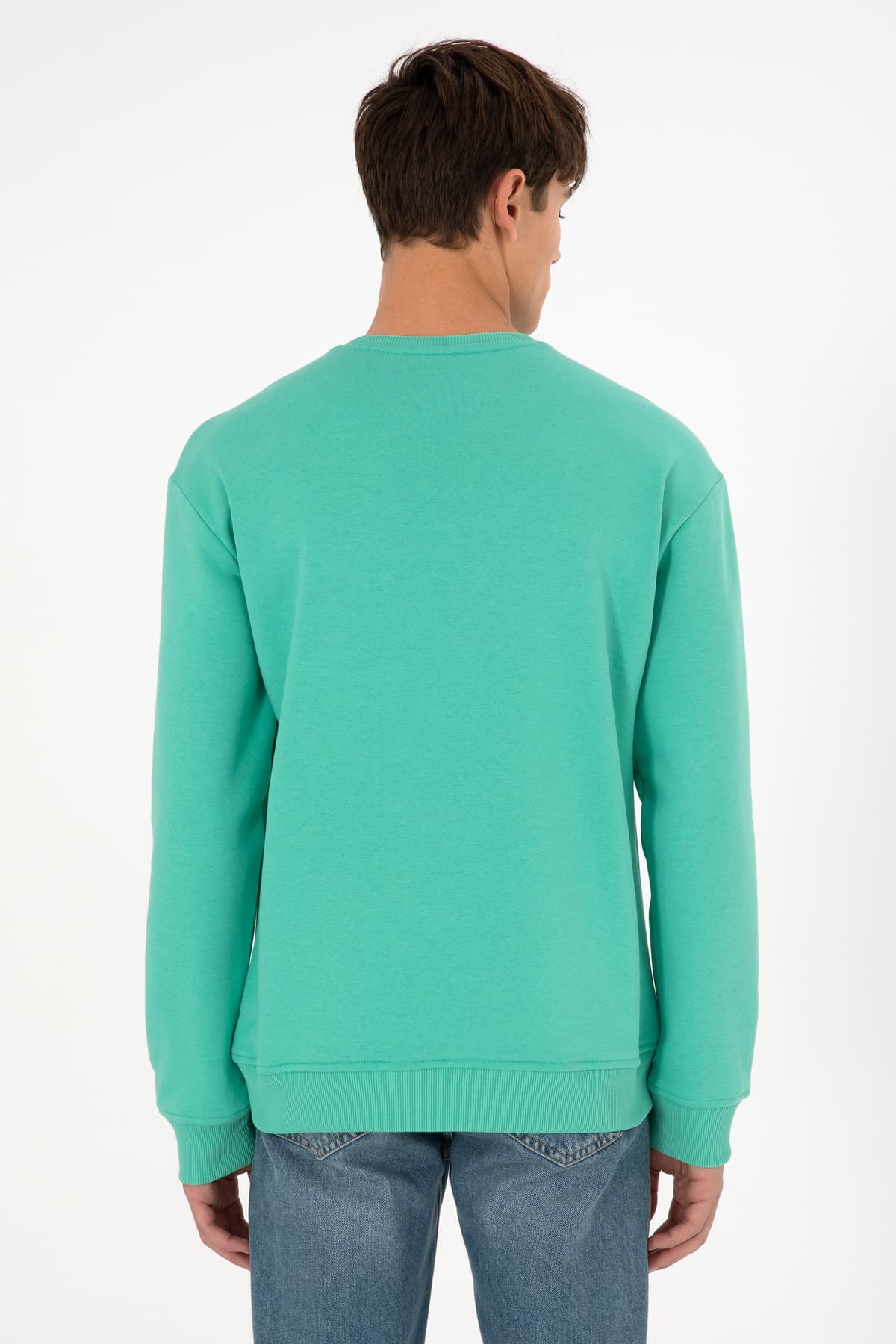 سوئیشرت مردانه U.S. Polo Assn. یقه گرد نعنایی پرزدار مدل 50295148-VR152 سوئیشرت مردانه U.S. Polo Assn. یقه گرد نعنایی پرزدار مدل 50295148-VR152