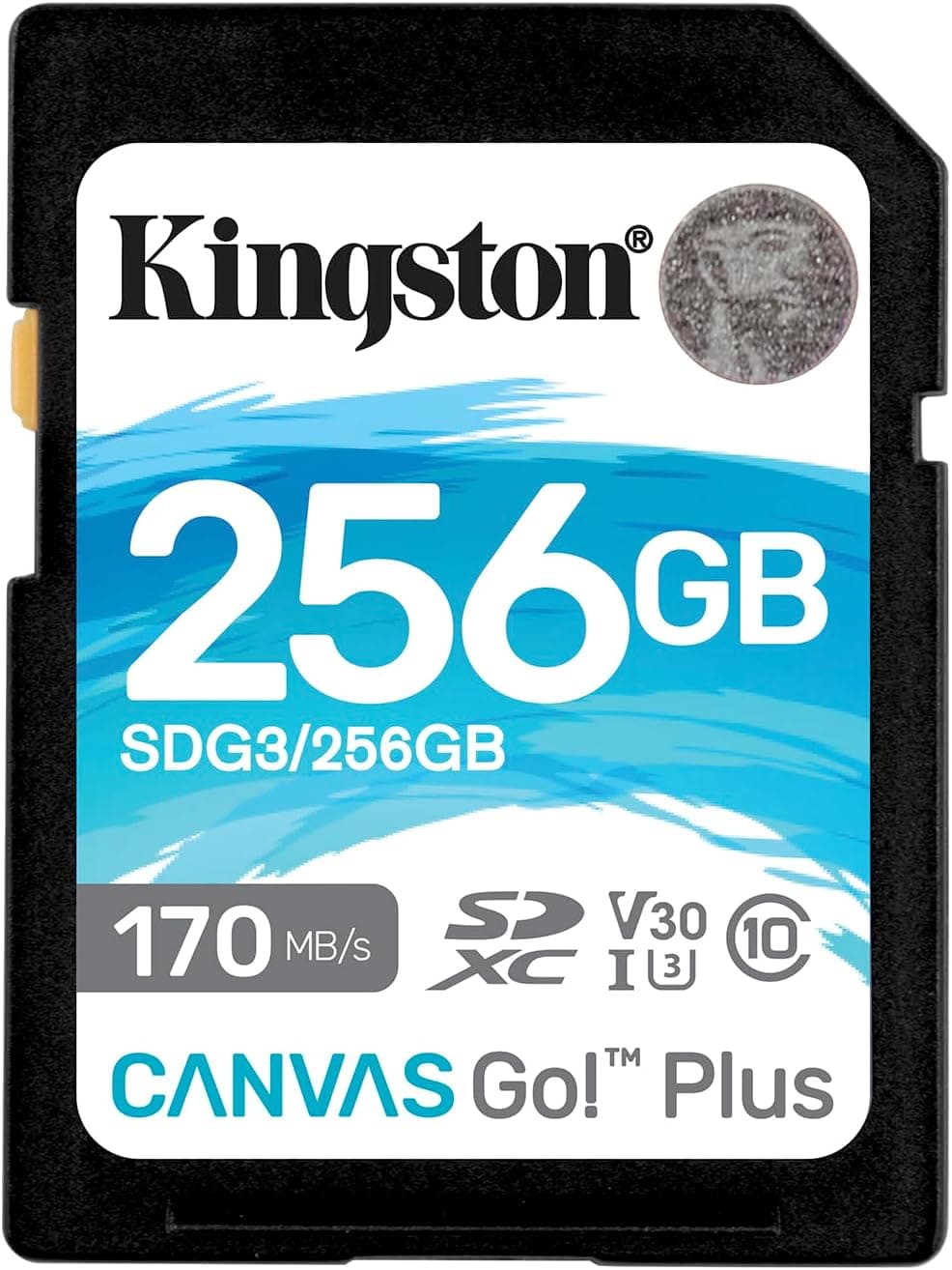 کارت حافظه SD Kingston Canvas Go Plus 64GB تا 200MB/s مدل SDG4/64GB کارت حافظه SD Kingston Canvas Go Plus 64GB تا 200MB/s مدل SDG4/64GB