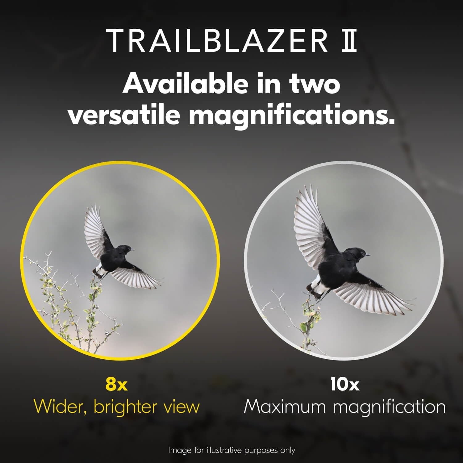 دوربین دوچشمی Nikon مدل Trailblazer II 8x25 فشرده ضدآب و ضدبخار دوربین دوچشمی Nikon مدل Trailblazer II 8x25 فشرده ضدآب و ضدبخار