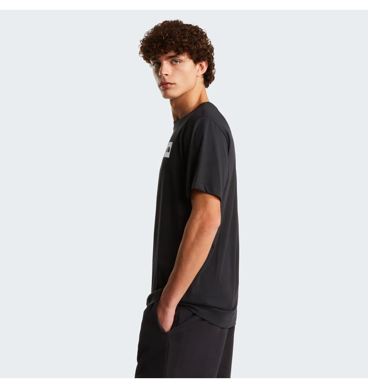 شورت مردانه The North Face مشکی فیت معمولی EVOLUTION BOX HALF DOME M شورت مردانه The North Face مشکی فیت معمولی EVOLUTION BOX HALF DOME M