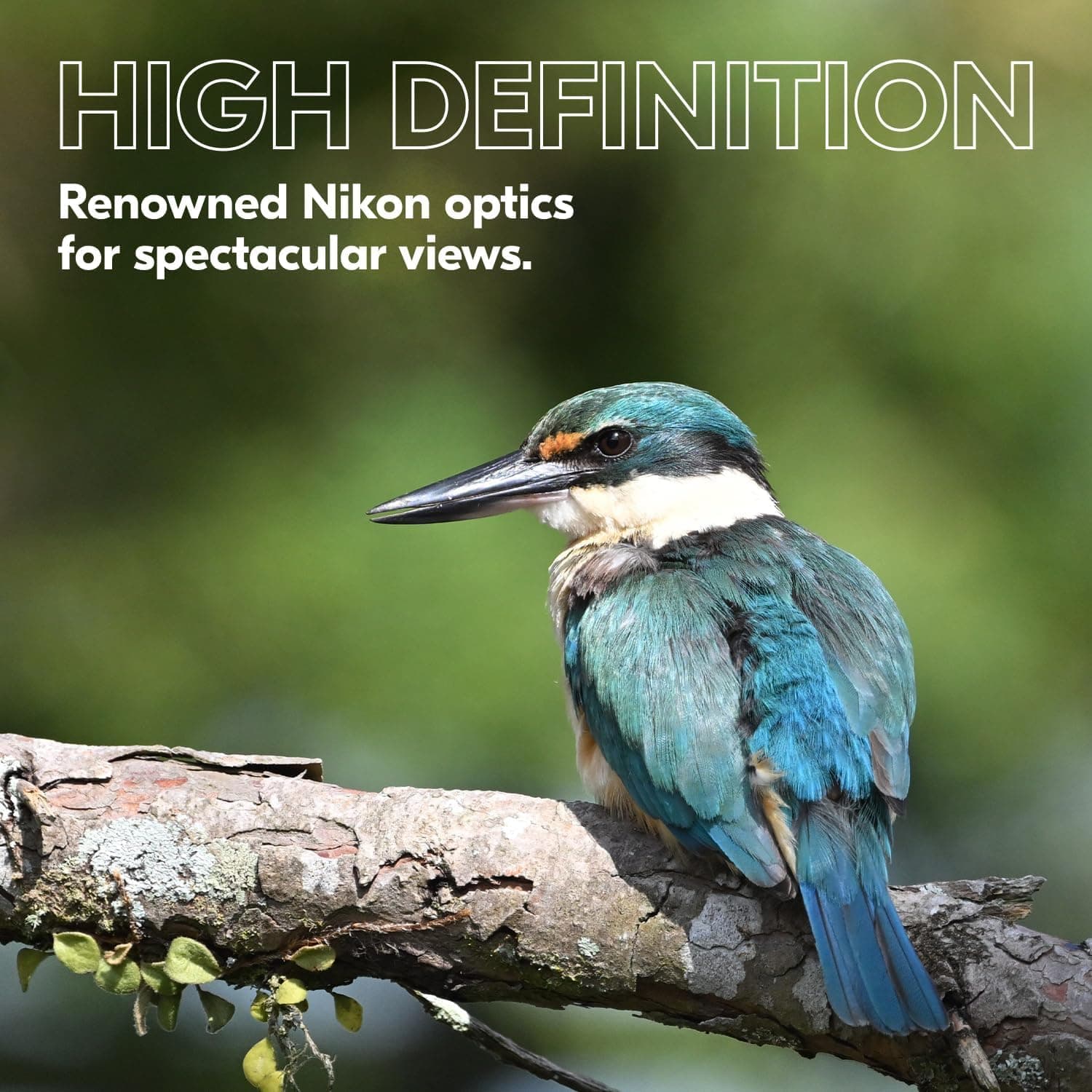 دوربین دوچشمی Nikon مدل PROSTAFF P3 8x42 ضدآب و ضدبخار دوربین دوچشمی Nikon مدل PROSTAFF P3 8x42 ضدآب و ضدبخار