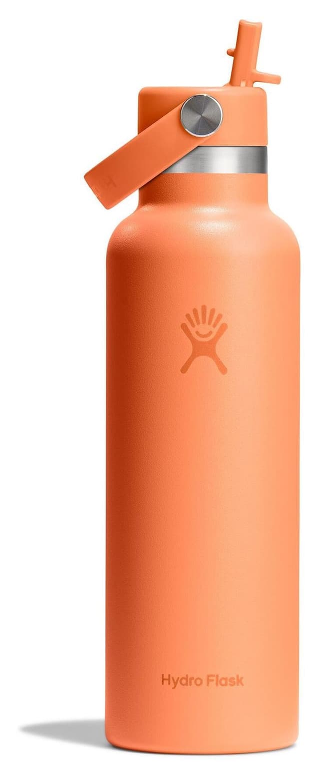 فلاسک نیدار Hydro Flask با درپوش استاندارد 621 ml (21 Oz) نارنجی فلاسک نیدار Hydro Flask با درپوش استاندارد 621 ml (21 Oz) نارنجی