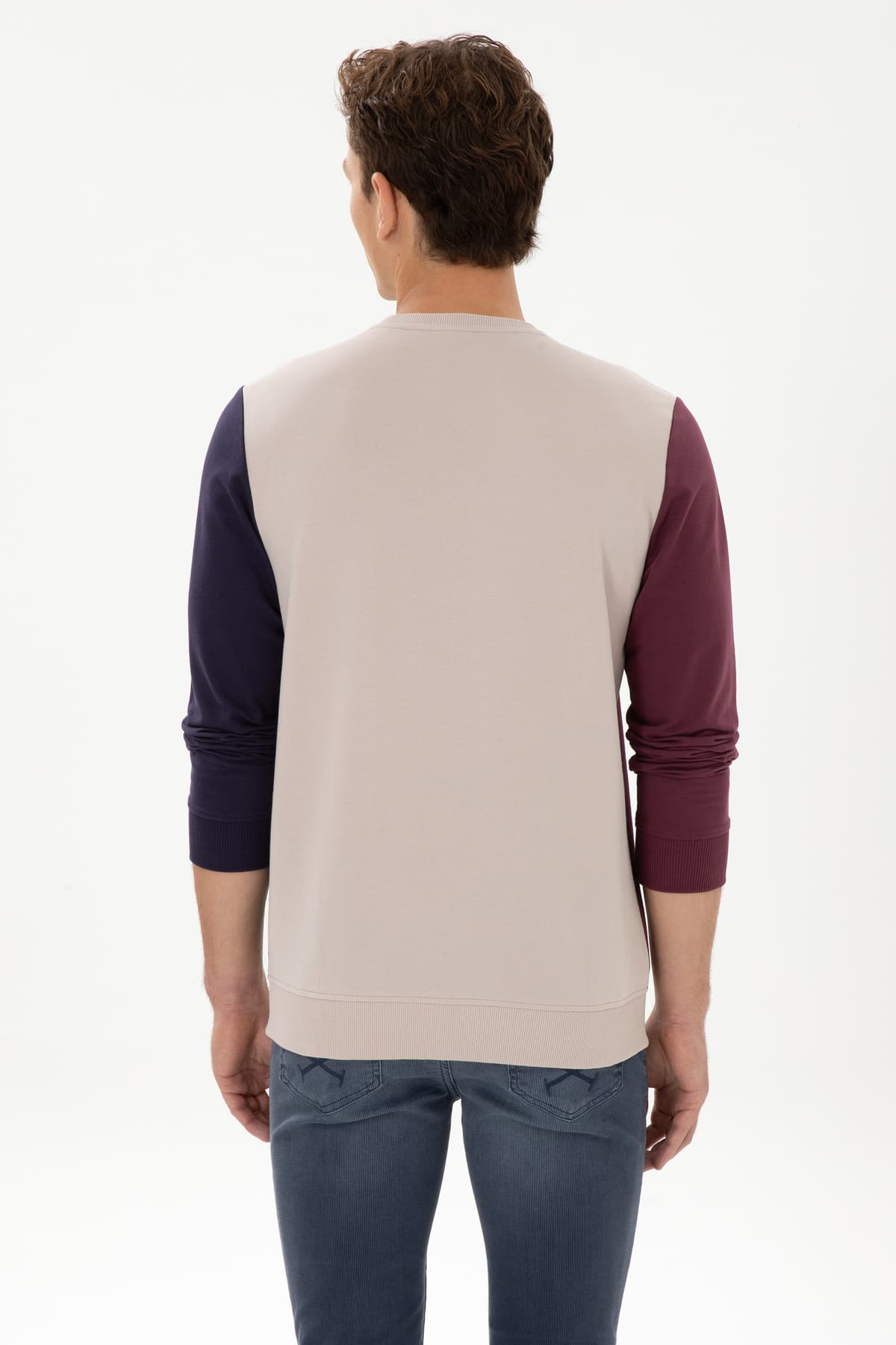 سویشرت مردانه U.S. Polo Assn. یقهگرد نازک فیت معمولی سنگی مدل 50316379-VR049 سویشرت مردانه U.S. Polo Assn. یقهگرد نازک فیت معمولی سنگی مدل 50316379-VR049