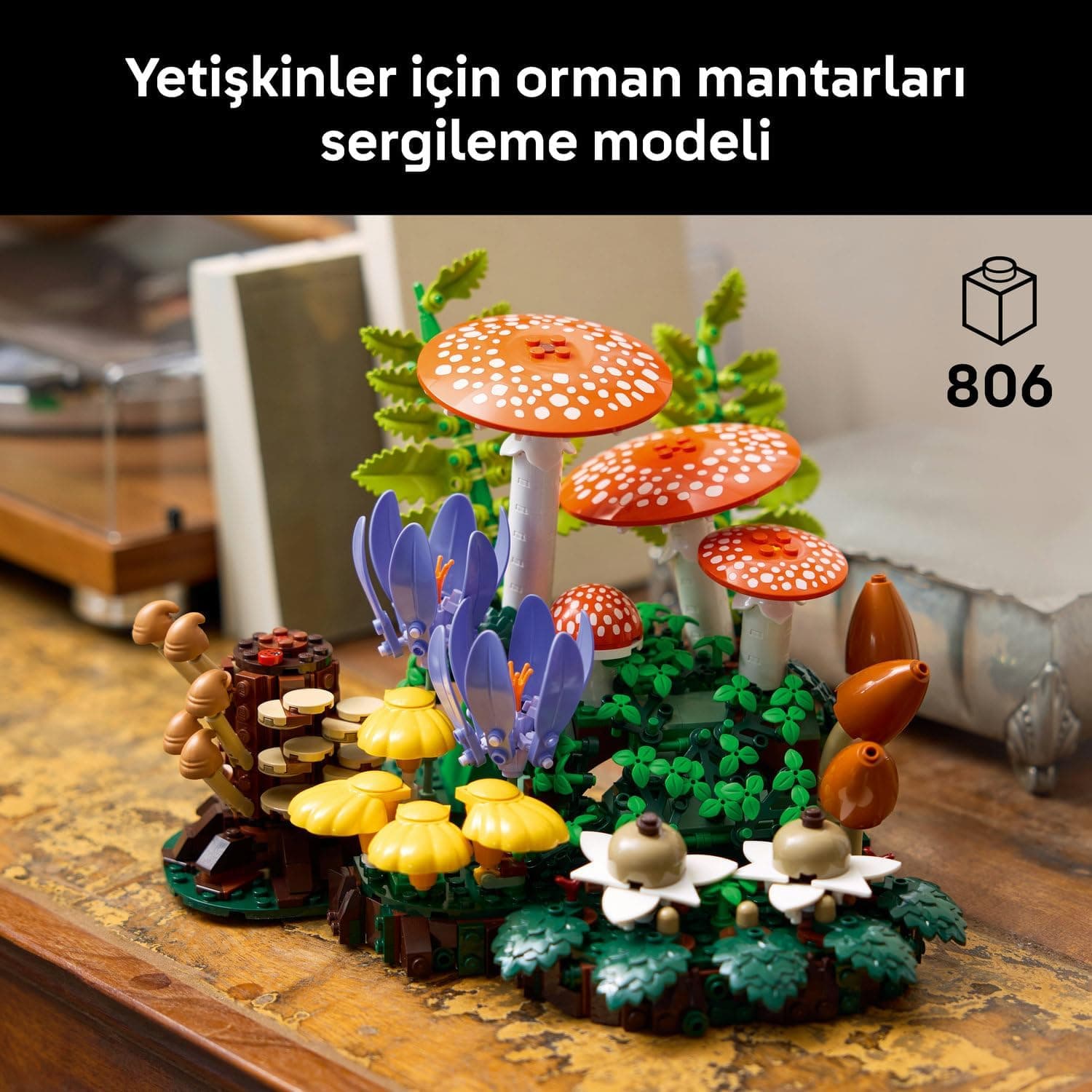 لگو Botanicals قارچهای جنگلی مدل 11505 لگو Botanicals قارچهای جنگلی مدل 11505