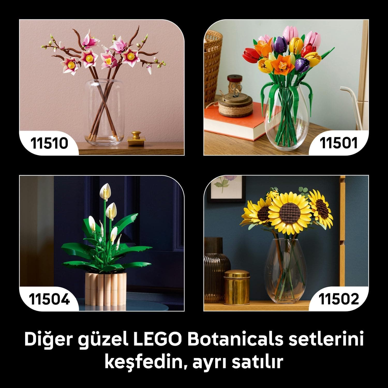 لگو Botanicals قارچهای جنگلی مدل 11505 لگو Botanicals قارچهای جنگلی مدل 11505