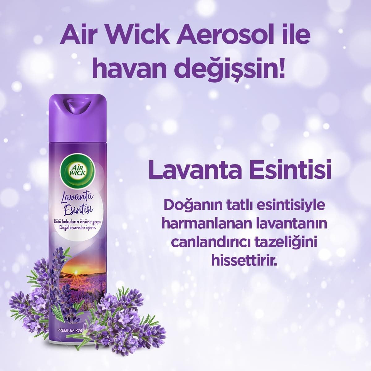 اسپری خوشبوکننده هوا Air Wick با رایحه اسطوخودوس 1 300 mL اسپری خوشبوکننده هوا Air Wick با رایحه اسطوخودوس 1 300 mL