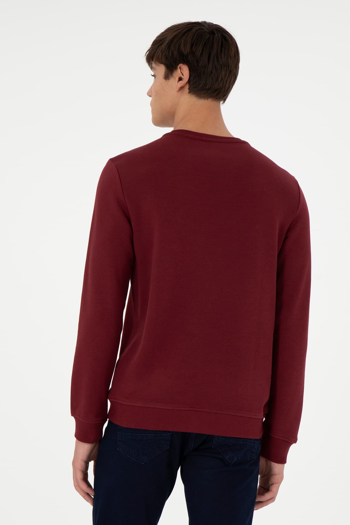 سوئیشرت مردانه U.S. Polo Assn. فیت معمولی یقه گرد زرشکی مدل 50293436-VR014 سوئیشرت مردانه U.S. Polo Assn. فیت معمولی یقه گرد زرشکی مدل 50293436-VR014