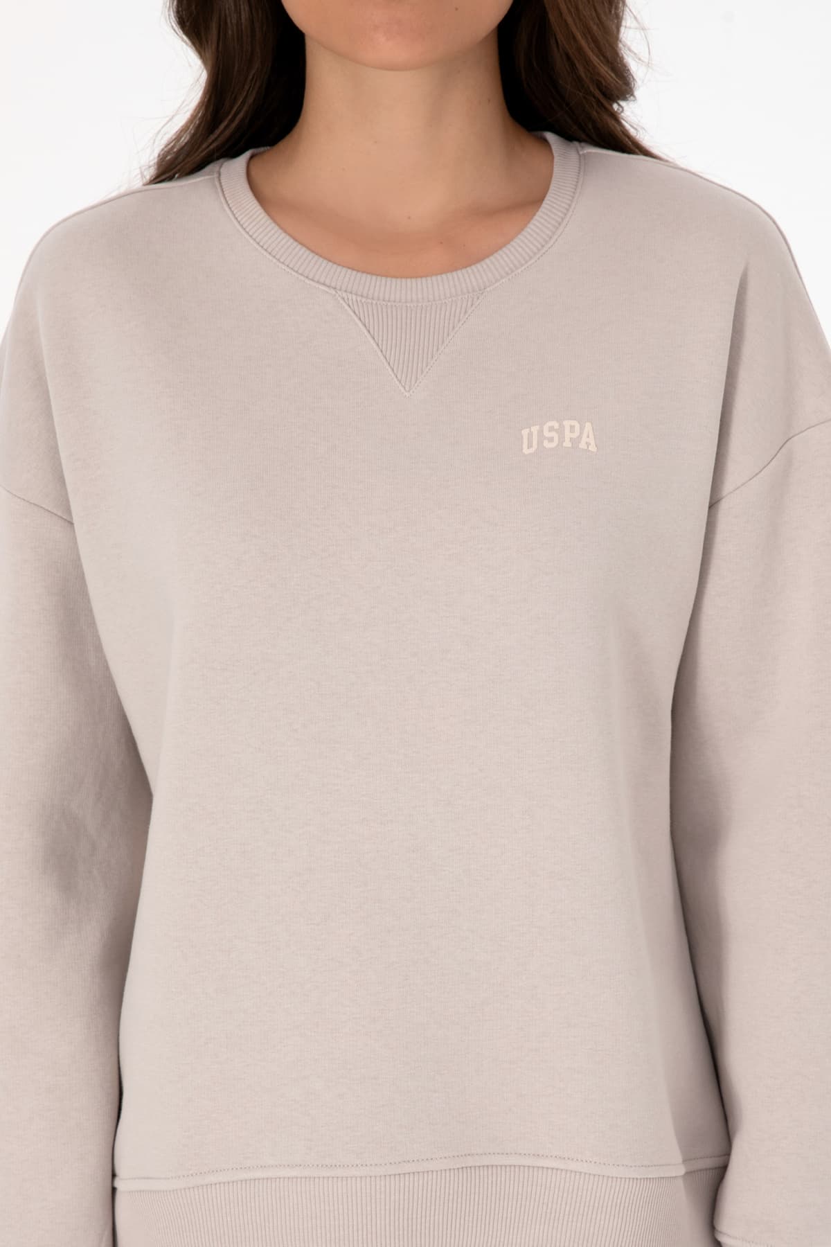 سوئیشرت زنانه U.S. Polo Assn. یقه گرد بیسیک شاردون سنگشور مدل 50313586-VR049 سوئیشرت زنانه U.S. Polo Assn. یقه گرد بیسیک شاردون سنگشور مدل 50313586-VR049