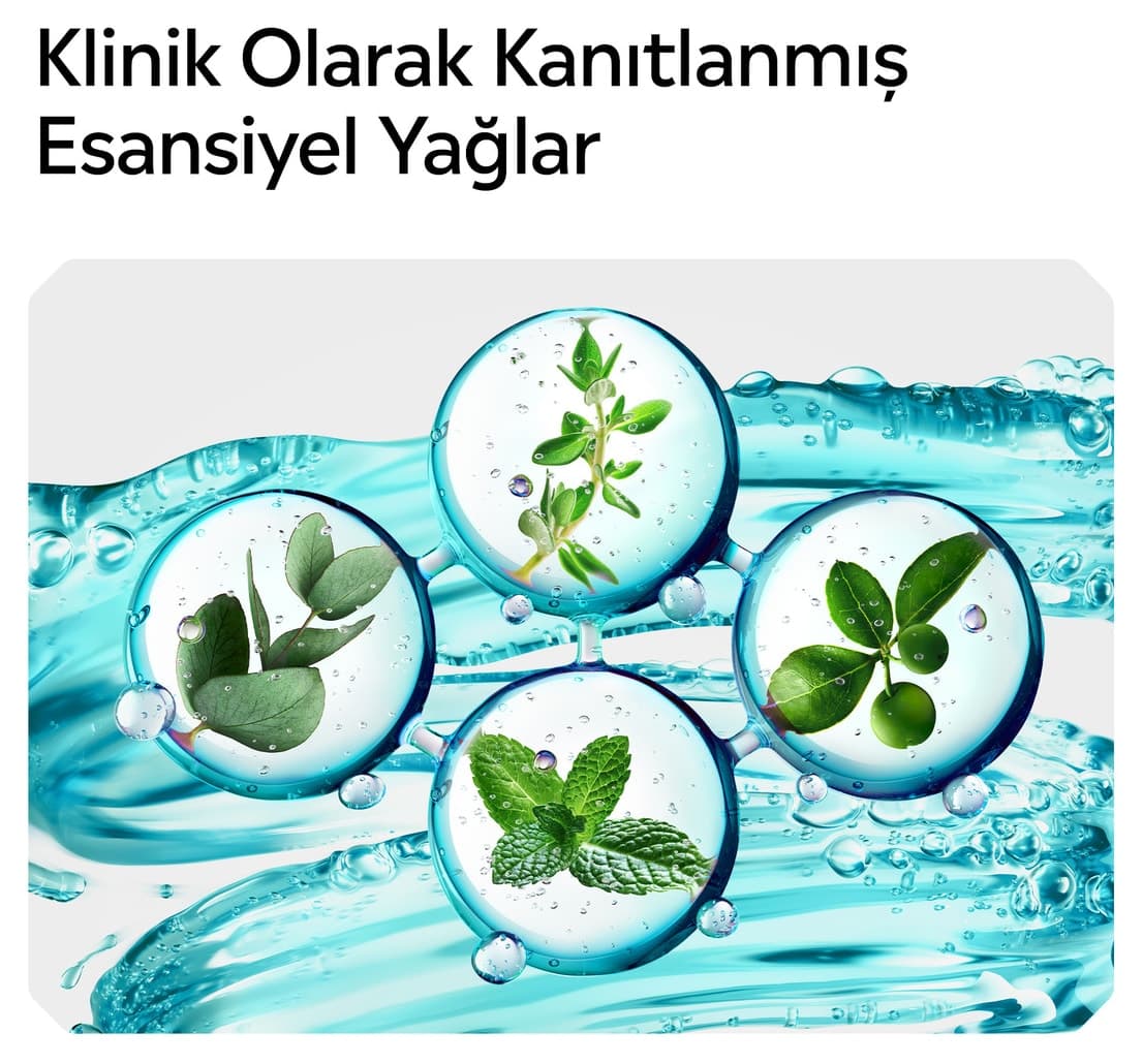 دهانشویه Listerine نعنای خنک طعم قوی حاوی الکل 500ml×2 دهانشویه Listerine نعنای خنک طعم قوی حاوی الکل 500ml×2