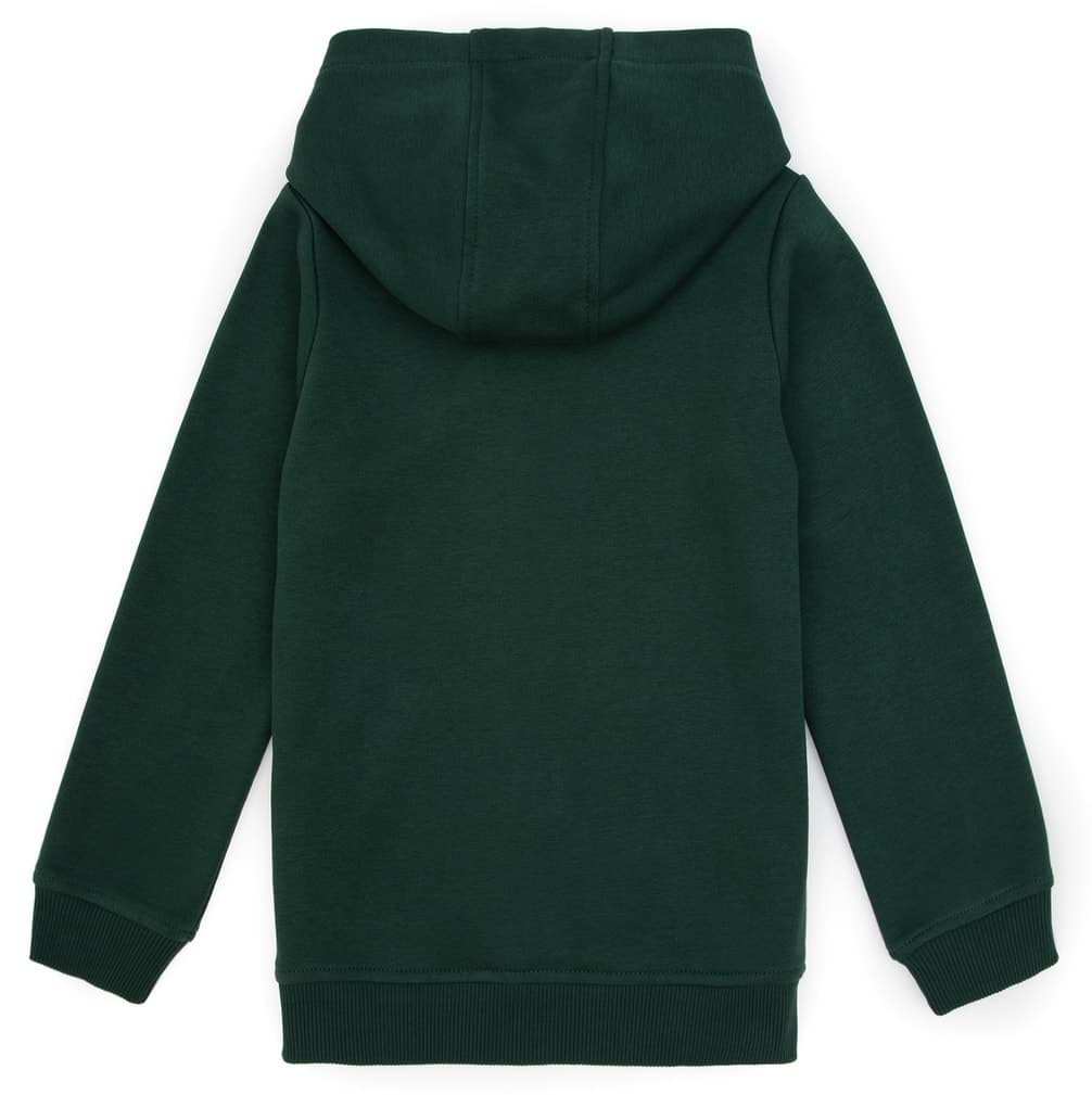 سویشرت پسرانه کلاهدار زیپدار سبز تیره U.S. Polo Assn. مدل 50316706-VR079 سویشرت پسرانه کلاهدار زیپدار سبز تیره U.S. Polo Assn. مدل 50316706-VR079