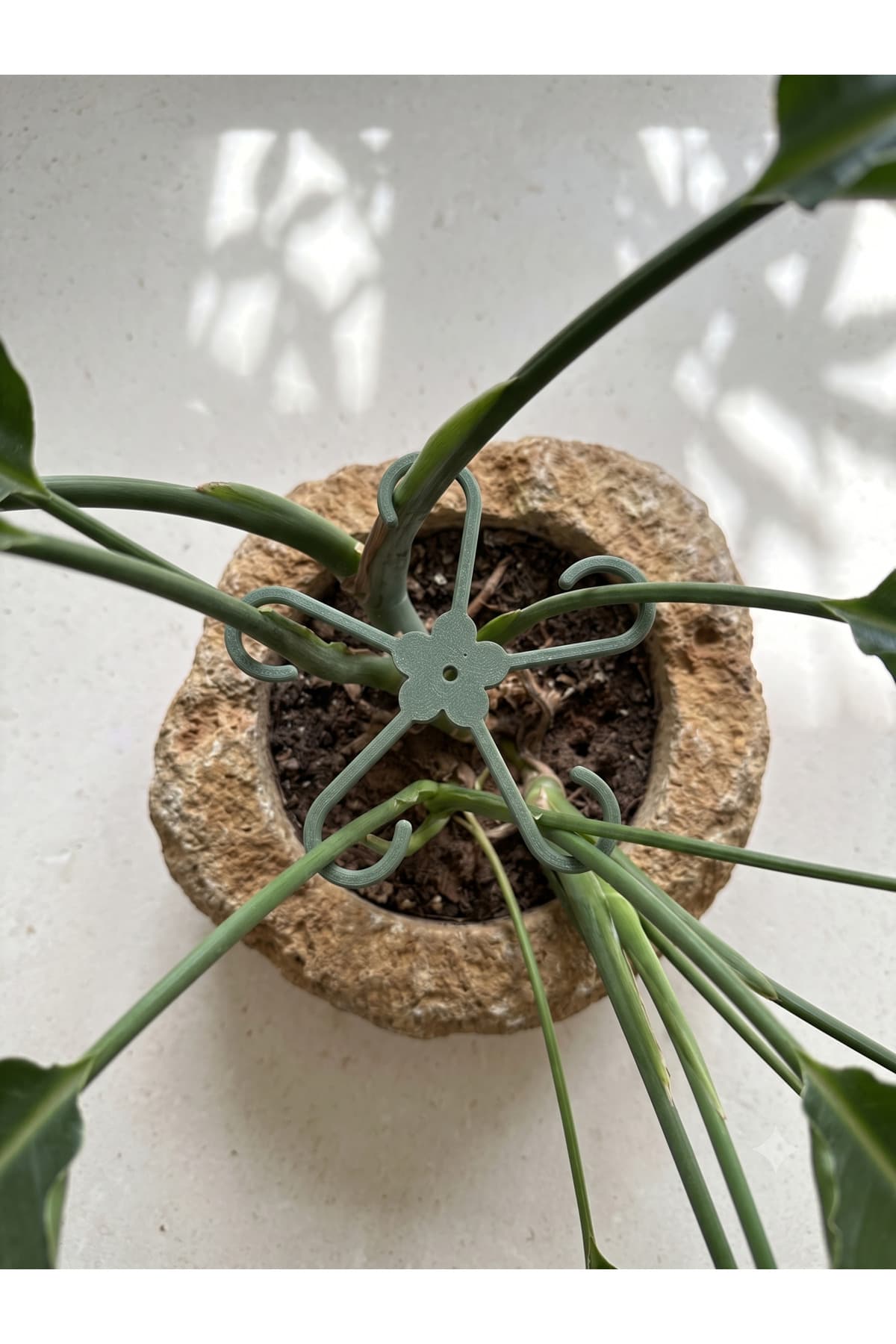 گیره تثبیتکننده ساقه گیاه 4 عددی Elana Design برای گیاهان با شاخههای ضخیم گیره تثبیتکننده ساقه گیاه 4 عددی Elana Design برای گیاهان با شاخههای ضخیم