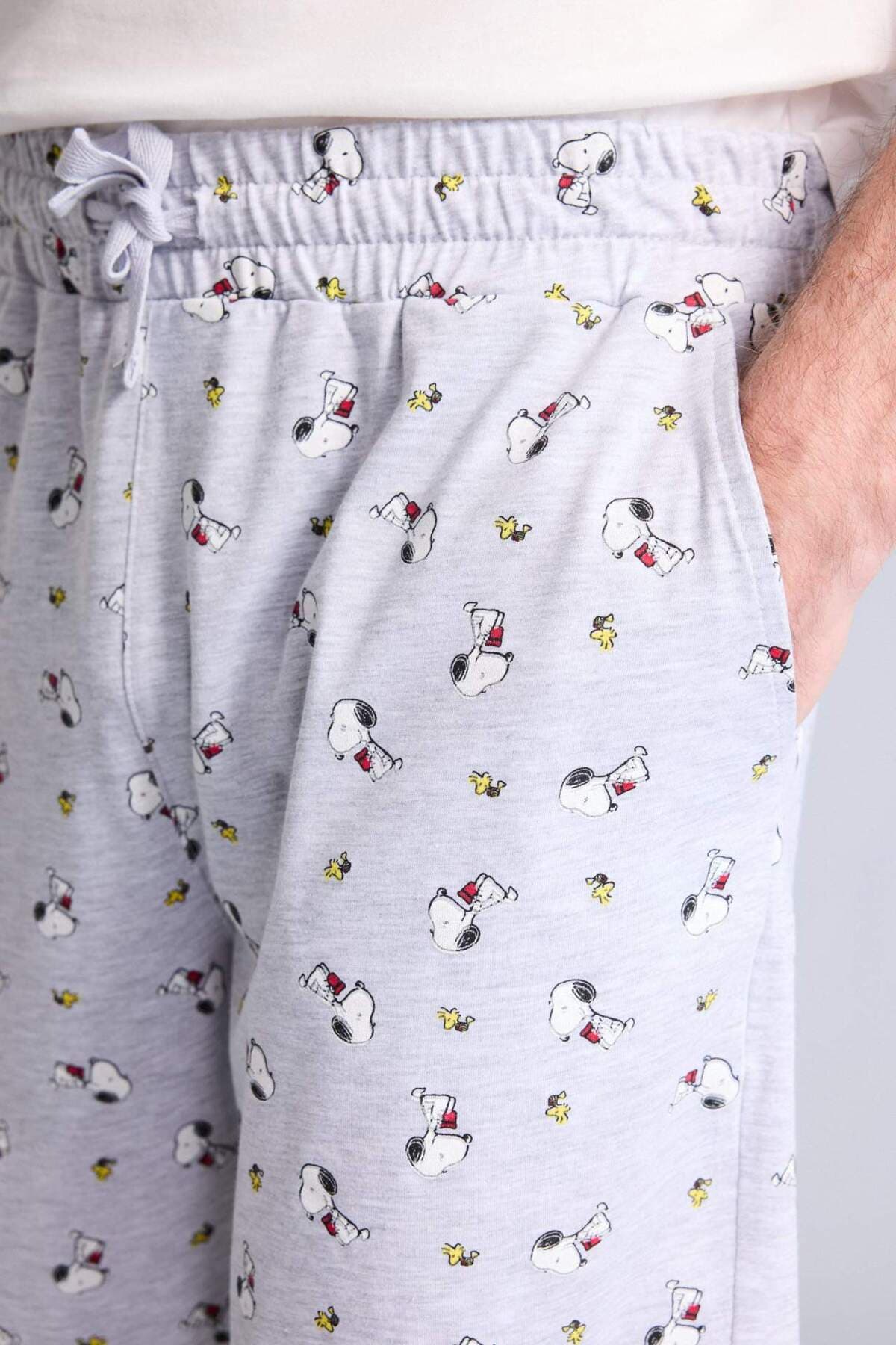 ست مردانه Defacto Snoopy فیت معمولی آستین کوتاه 2 تایی مدل H8534AX26SM ست مردانه Defacto Snoopy فیت معمولی آستین کوتاه 2 تایی مدل H8534AX26SM
