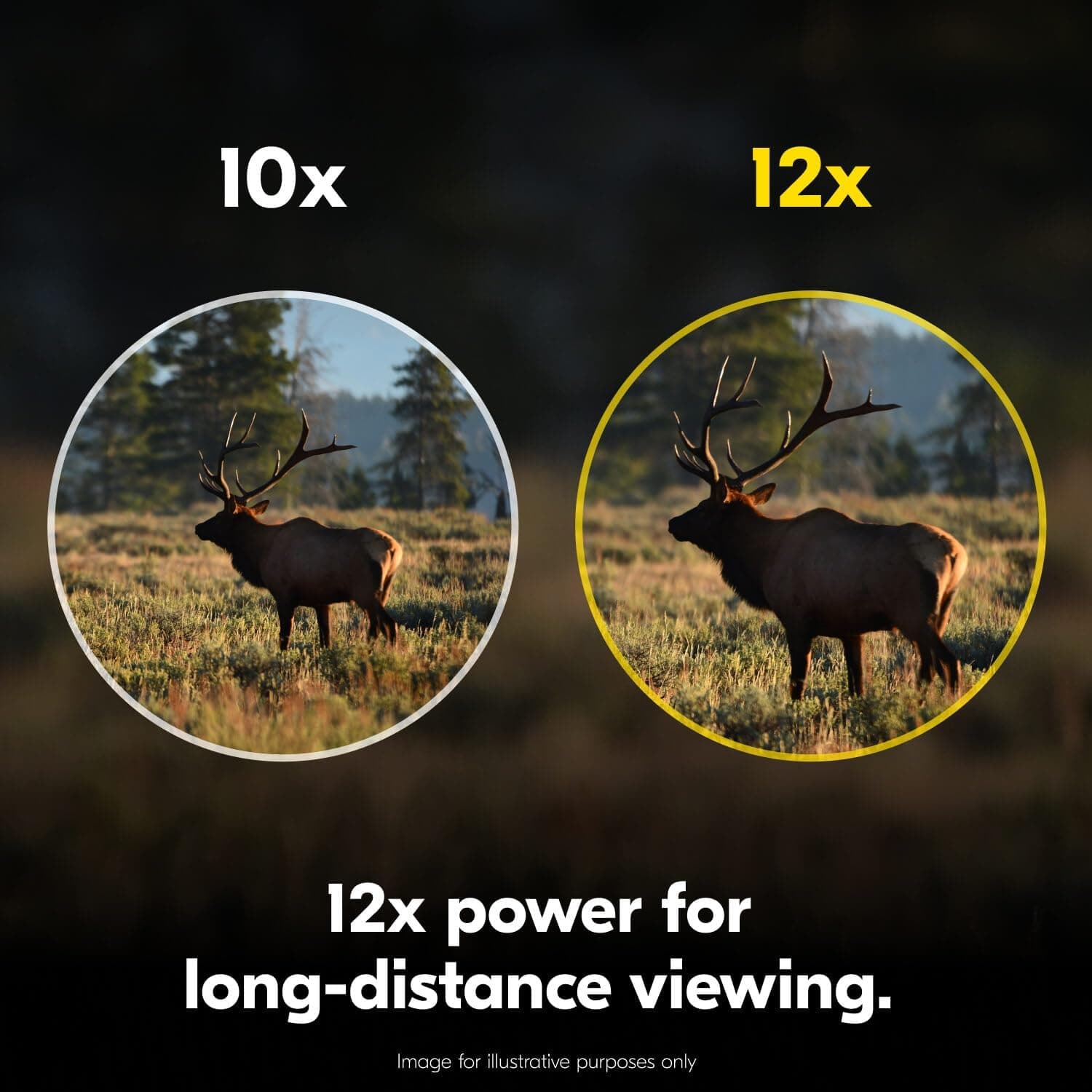 دوربین دوچشمی Nikon مدل PROSTAFF P7 12x50 ضدآب و ضدبخار دوربین دوچشمی Nikon مدل PROSTAFF P7 12x50 ضدآب و ضدبخار