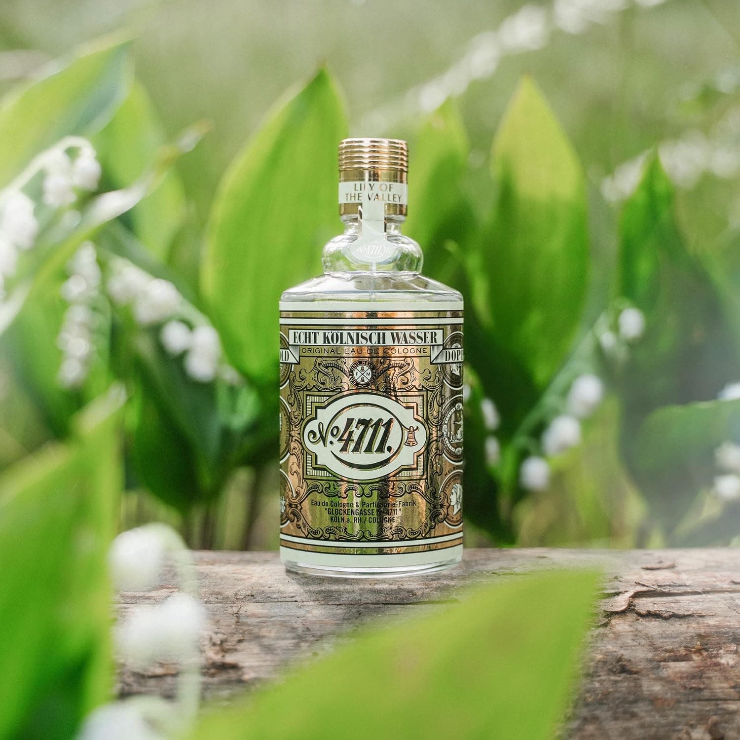 ادکلن 4711 Floral Collection با رایحه گل زنبق دره اسپری طبیعی 100 ml ادکلن 4711 Floral Collection با رایحه گل زنبق دره اسپری طبیعی 100 ml