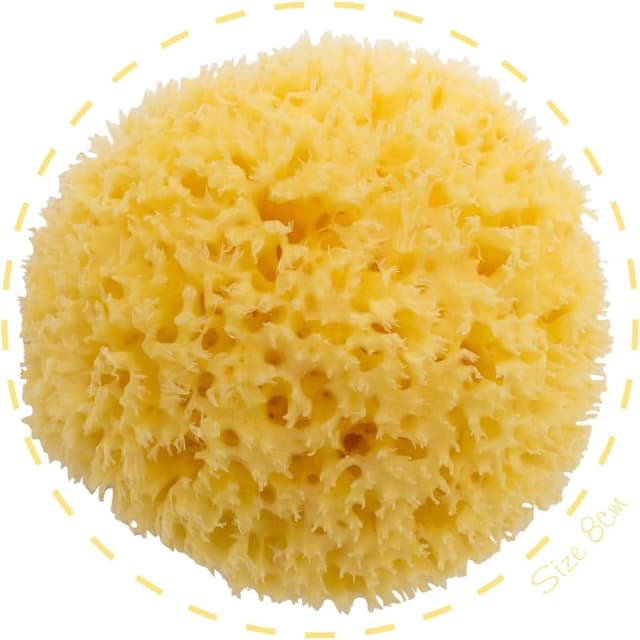 اسفنج حمام نوزاد Bellini از نوع طبیعی مدیترانهای 100٪ اسفنج حمام نوزاد Bellini از نوع طبیعی مدیترانهای 100٪