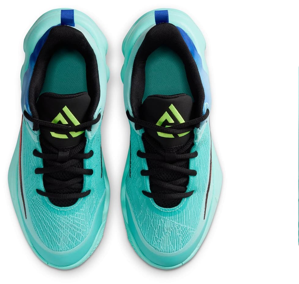 کفش بسکتبال نوجوانه Nike مدل Gıannıs Immortalıty 4 (Gs) کفش بسکتبال نوجوانه Nike مدل Gıannıs Immortalıty 4 (Gs)