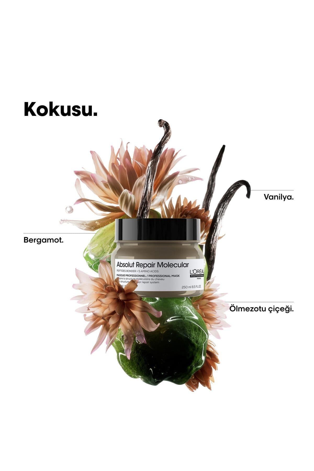ماسک مو برای موهای آسیبدیده L'oreal Professionnel ترمیم عمیق Absolut Repair Molecular 250 ml ماسک مو برای موهای آسیبدیده L'oreal Professionnel ترمیم عمیق Absolut Repair Molecular 250 ml