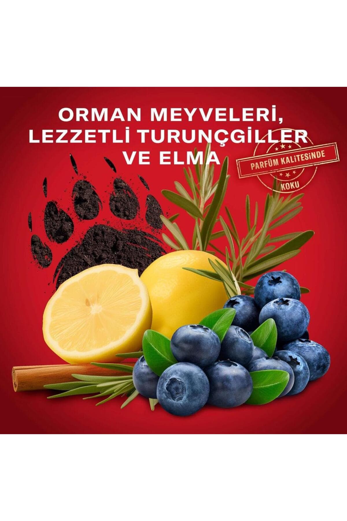 ژل شستوشوی مردانه و شامپو Old Spice Bearglove سهکاره بدن، مو و صورت 1000 ml XXL ژل شستوشوی مردانه و شامپو Old Spice Bearglove سهکاره بدن، مو و صورت 1000 ml XXL