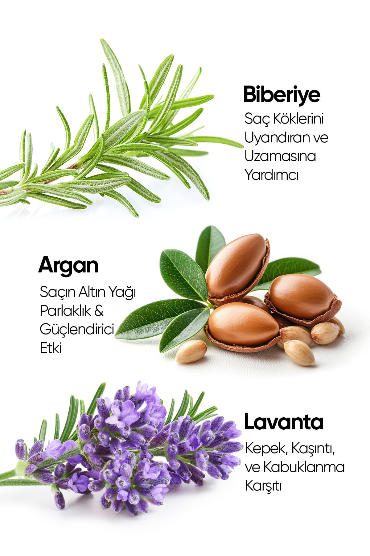 روغن مو Arifoğlu رزماری و آرگان ضد ریزش و تسریع رشد 100 ml روغن مو Arifoğlu رزماری و آرگان ضد ریزش و تسریع رشد 100 ml