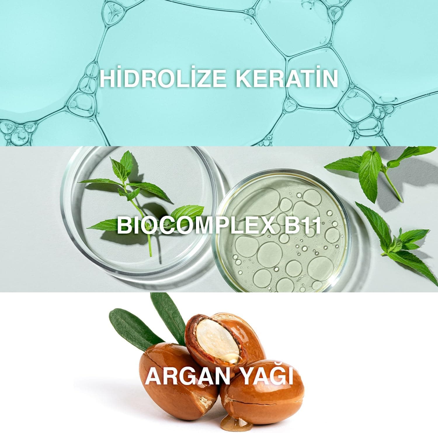 شامپو موهای آسیبدیده و حساس Bioxcin با Keratin و Argan 300 ml شامپو موهای آسیبدیده و حساس Bioxcin با Keratin و Argan 300 ml