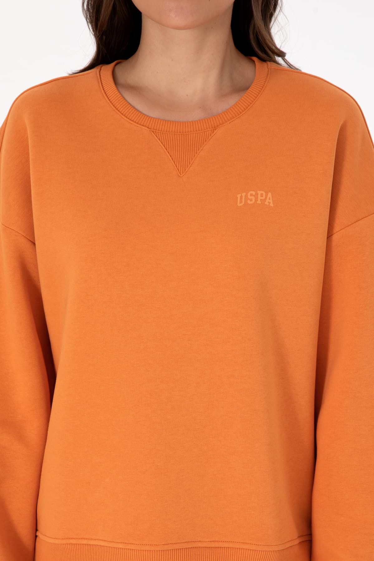 سوئیشرت زنانه U.S. Polo Assn. مسی شاردونی یقه گرد مدل 50313586-VR182 سوئیشرت زنانه U.S. Polo Assn. مسی شاردونی یقه گرد مدل 50313586-VR182
