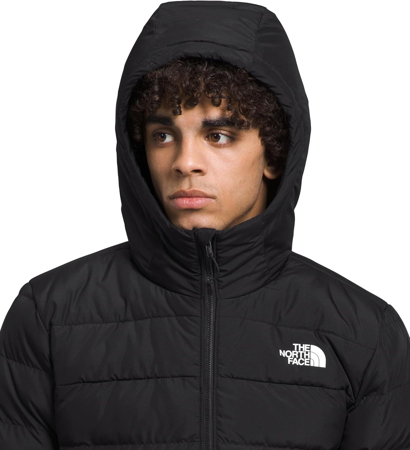 کاپشن مردانه The North Face عایقدار کلاهدار مدل Aconcagua کاپشن مردانه The North Face عایقدار کلاهدار مدل Aconcagua