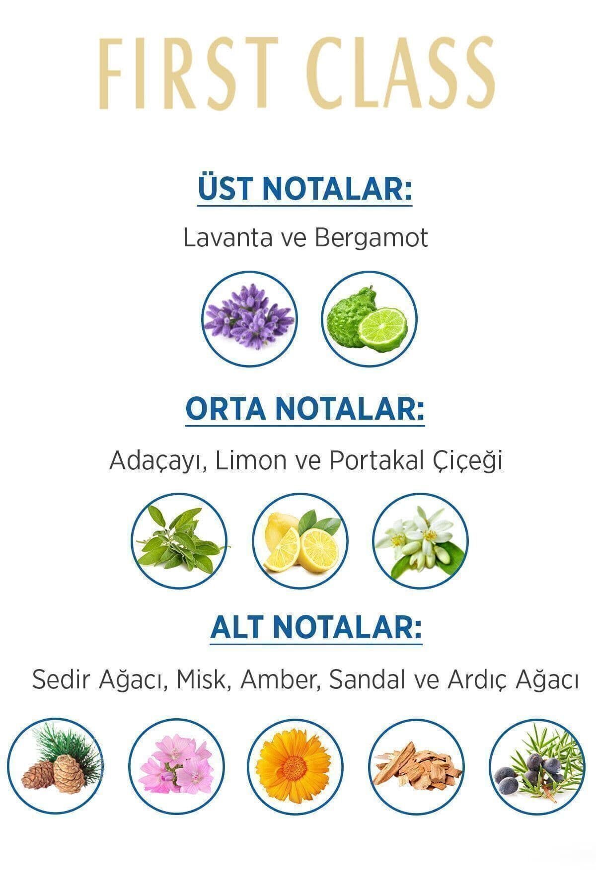 ست عطر مردانه و دئودورانت First Class Edt 100ml، 3×150ml ست عطر مردانه و دئودورانت First Class Edt 100ml، 3×150ml