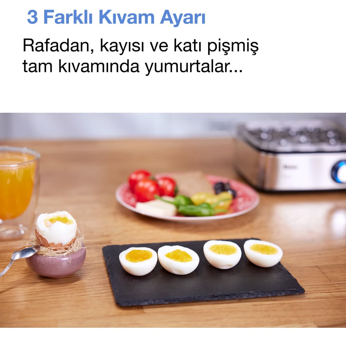دستگاه پخت تخممرغ Fakir مدل Eggy دستگاه پخت تخممرغ Fakir مدل Eggy