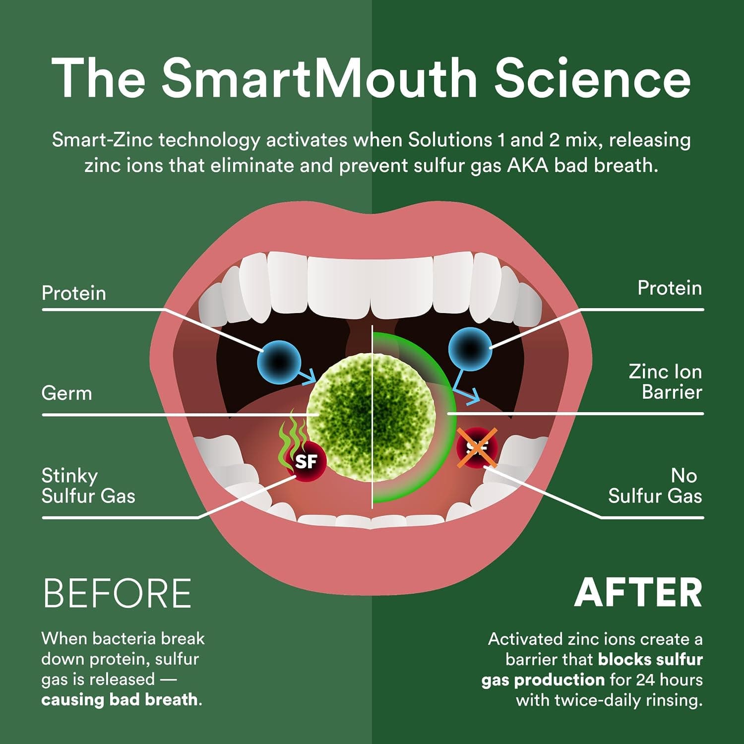 دهانشویه بالینی SmartMouth حاوی روی فعال با تمیزکننده زبان، 16 fl oz دهانشویه بالینی SmartMouth حاوی روی فعال با تمیزکننده زبان، 16 fl oz