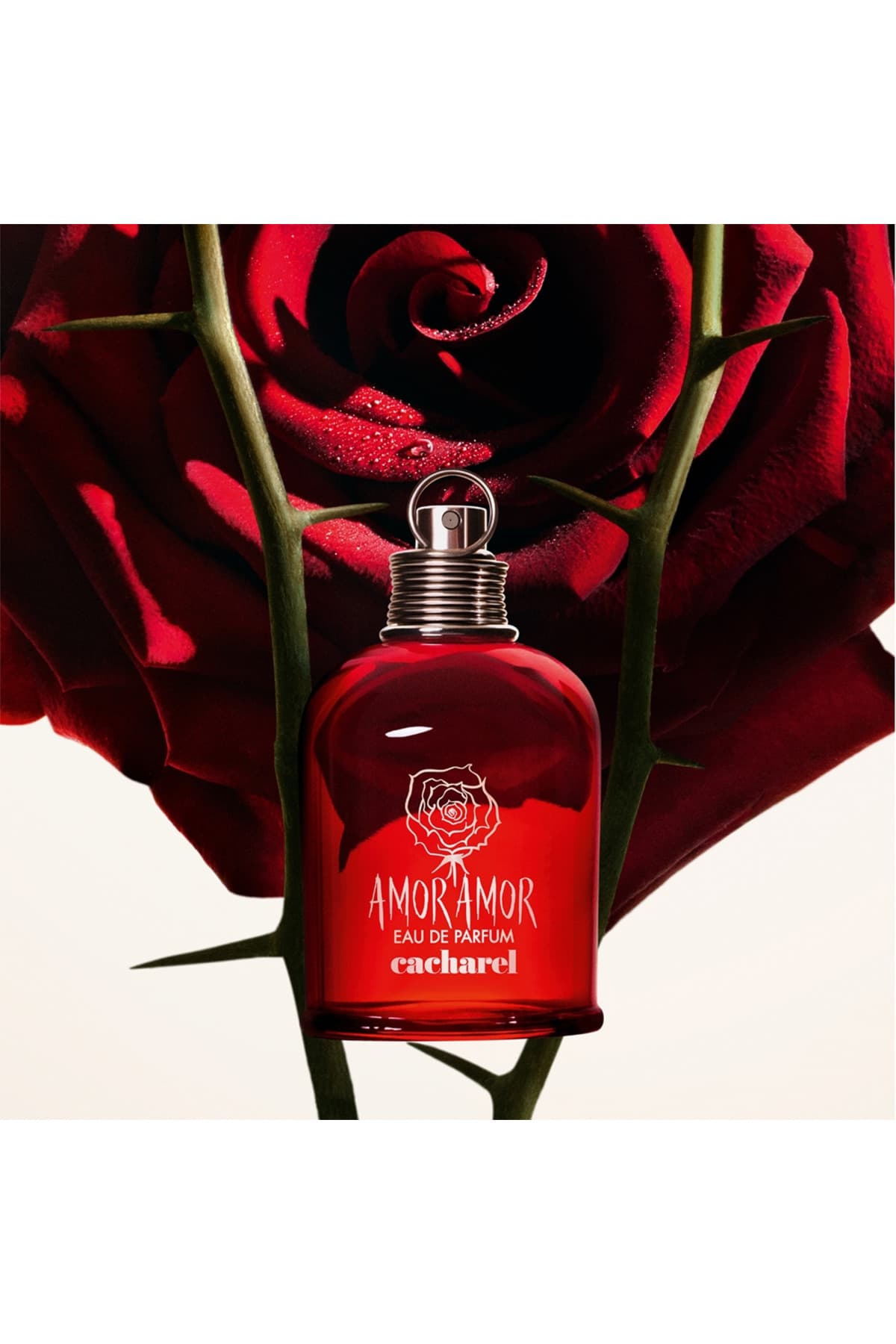 ادو تویلت زنانه Cacharel Amor Amor 30 ml ادو تویلت زنانه Cacharel Amor Amor 30 ml