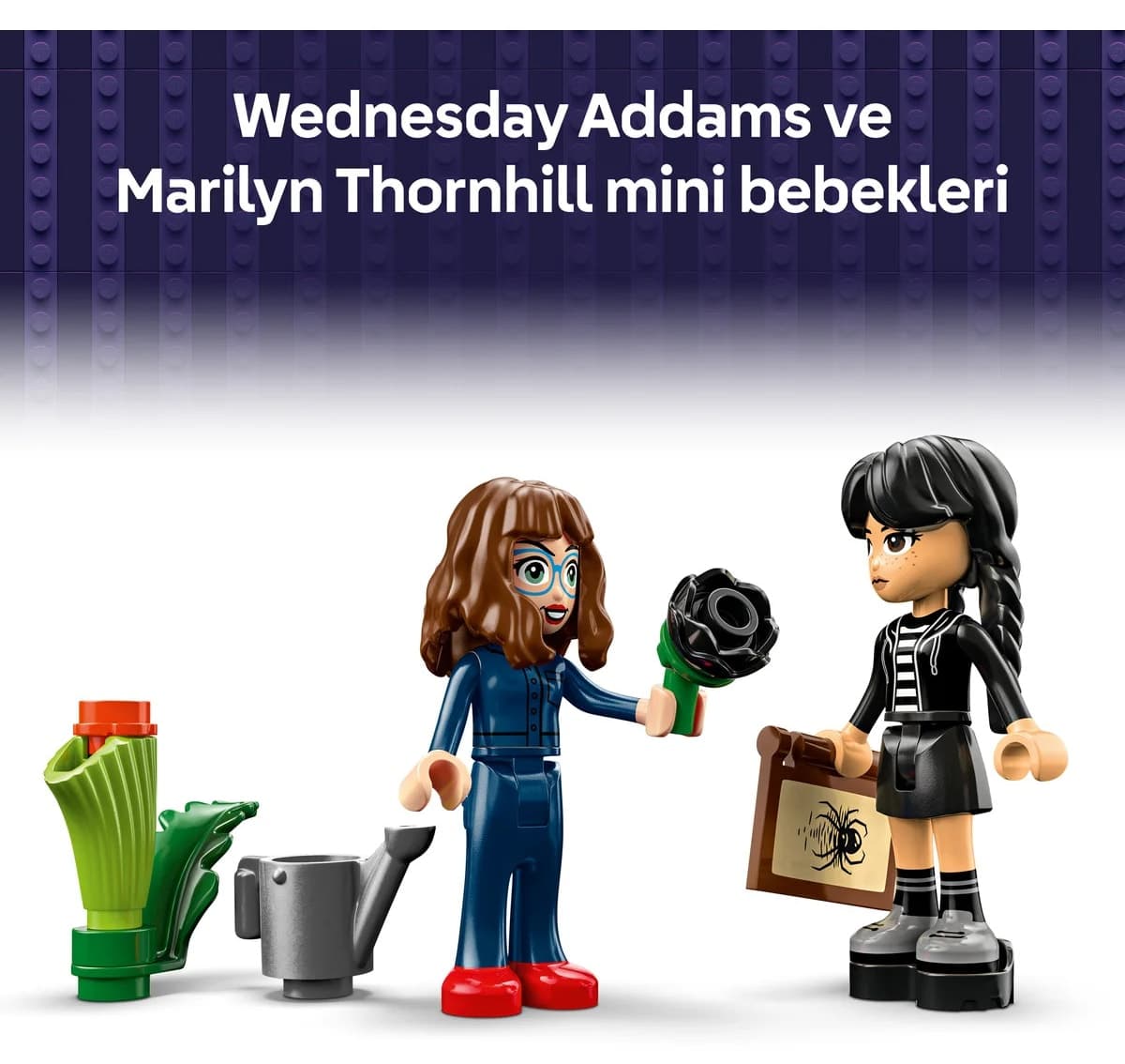 لگو Wednesday گل ستارهای سیاه مدل 76784 358 قطعه لگو Wednesday گل ستارهای سیاه مدل 76784 358 قطعه