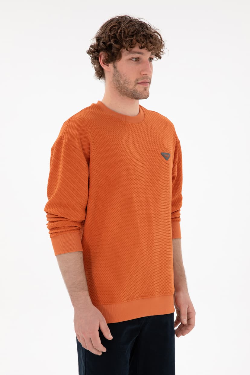 سوئیشرت مردانه U.S. Polo Assn. کامفورت فیت یقه گرد رنگ دارچینی مدل 50290777-VR191 سوئیشرت مردانه U.S. Polo Assn. کامفورت فیت یقه گرد رنگ دارچینی مدل 50290777-VR191