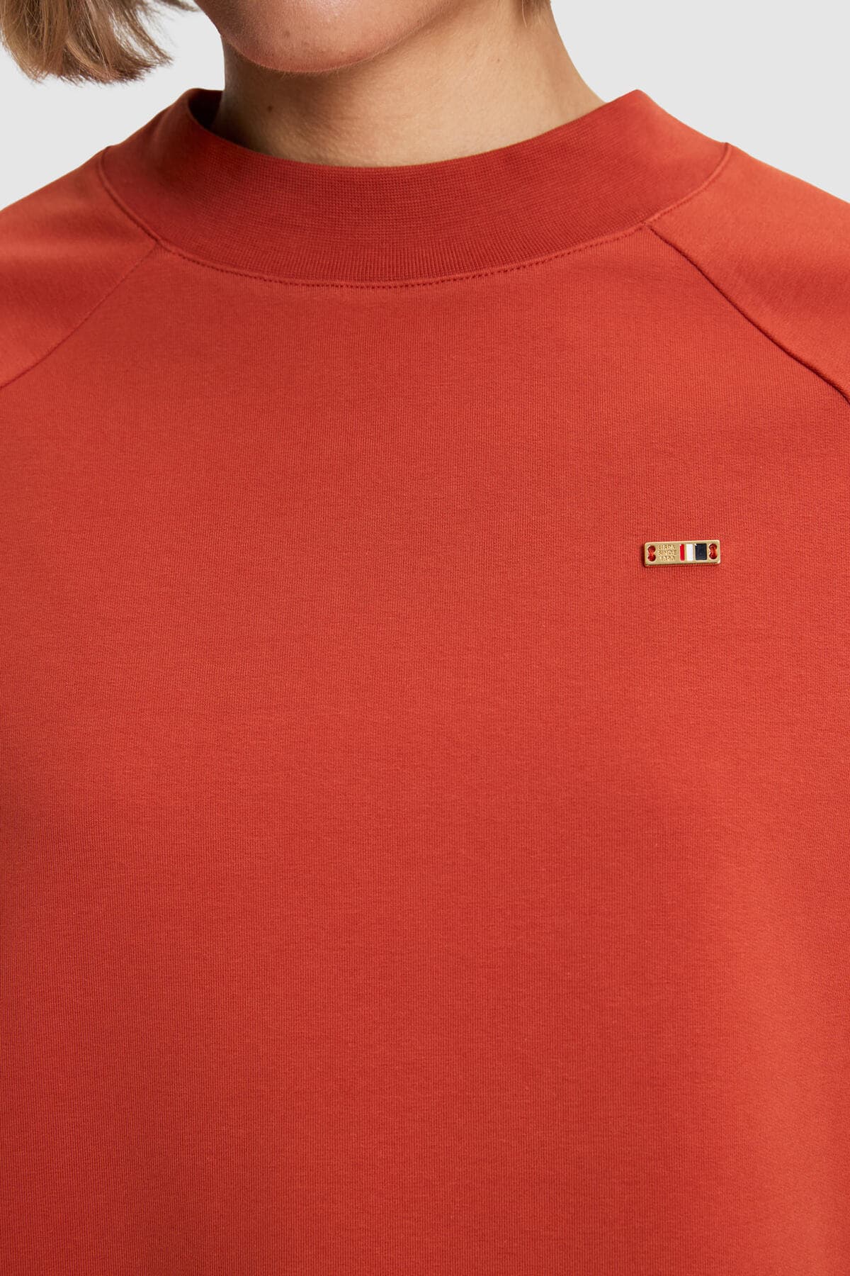 سویشرت زنانه U.S. Polo Assn. قرمز آجری ساده مدل 50328980-VR206 سویشرت زنانه U.S. Polo Assn. قرمز آجری ساده مدل 50328980-VR206